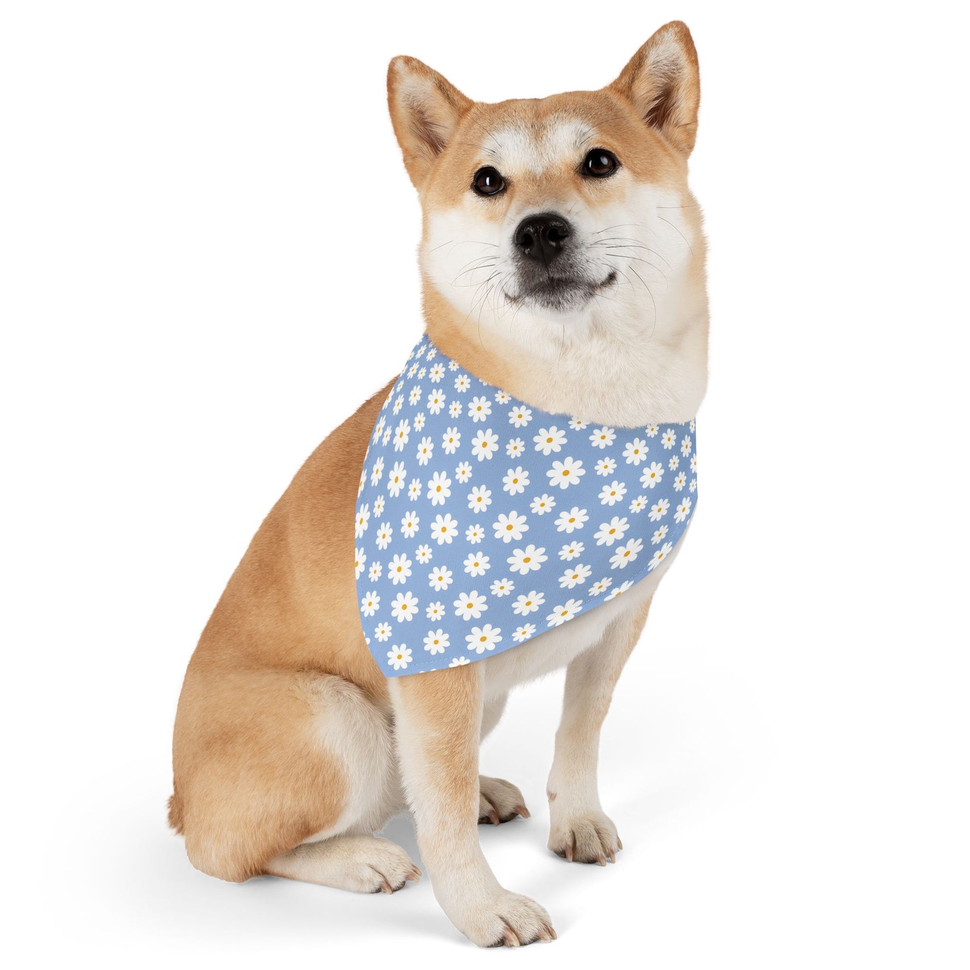 Blue Daisies Pet Bandana Collar - Canvasses