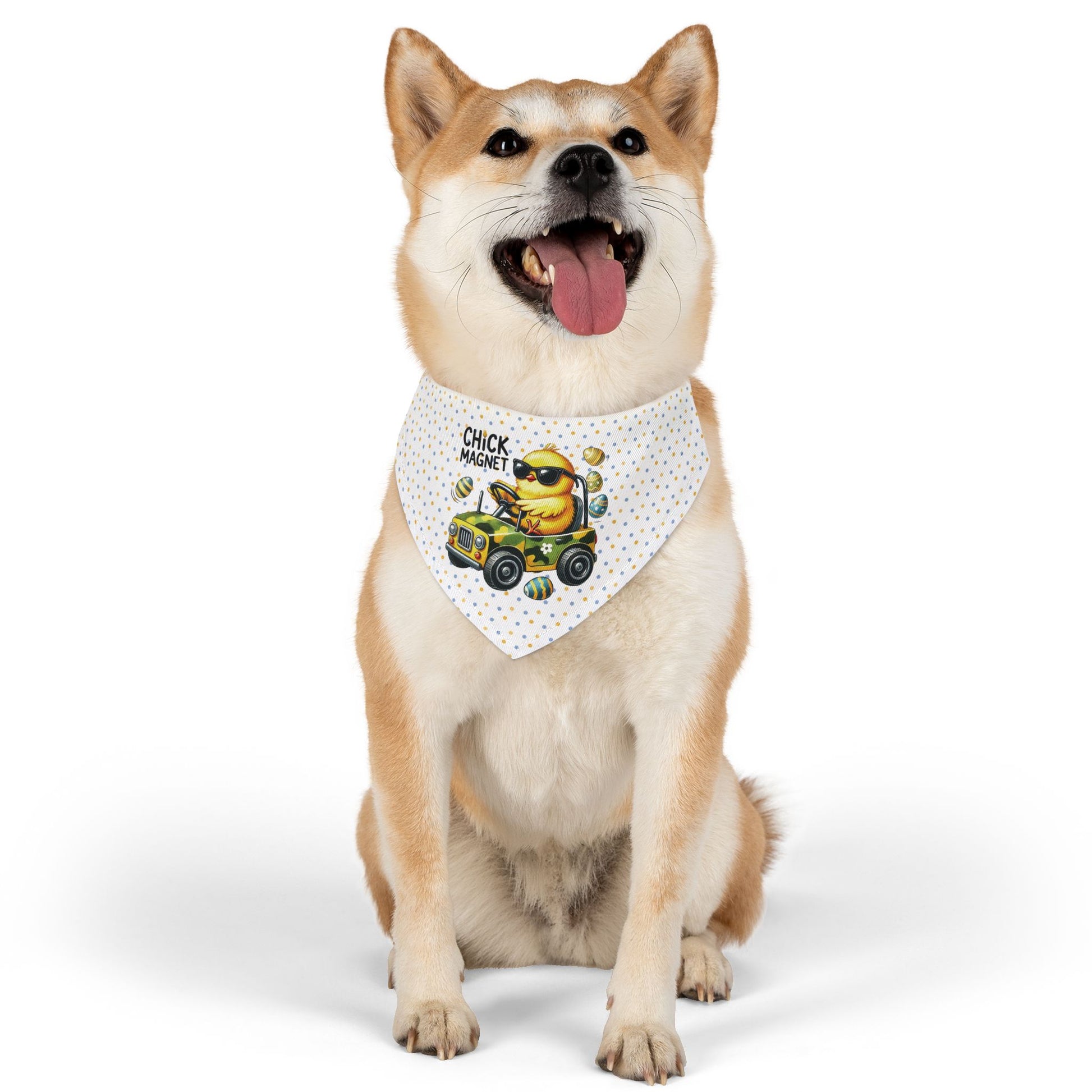 Chick Magnet Pet Bandana Collar - Canvasses