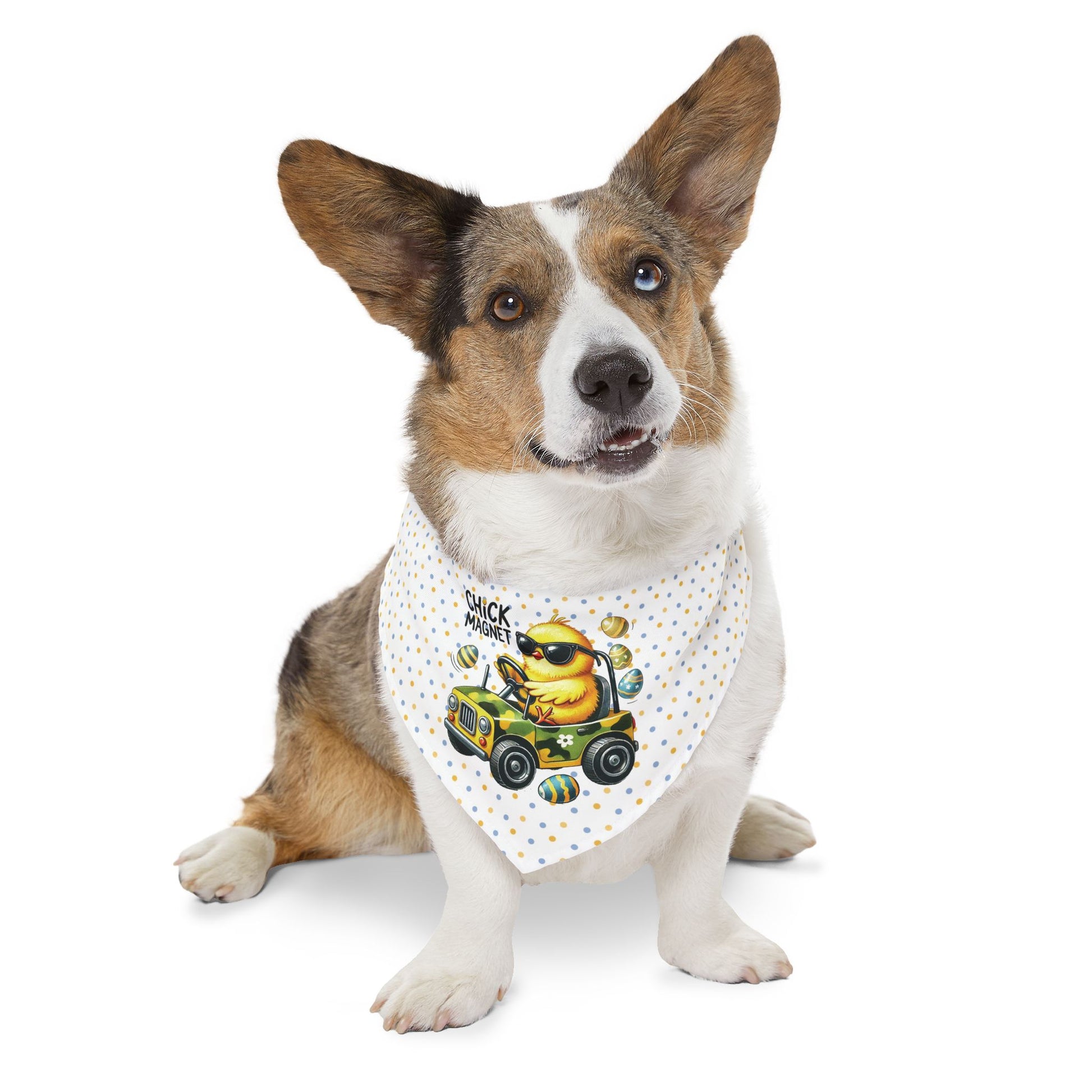 Chick Magnet Pet Bandana Collar - Canvasses