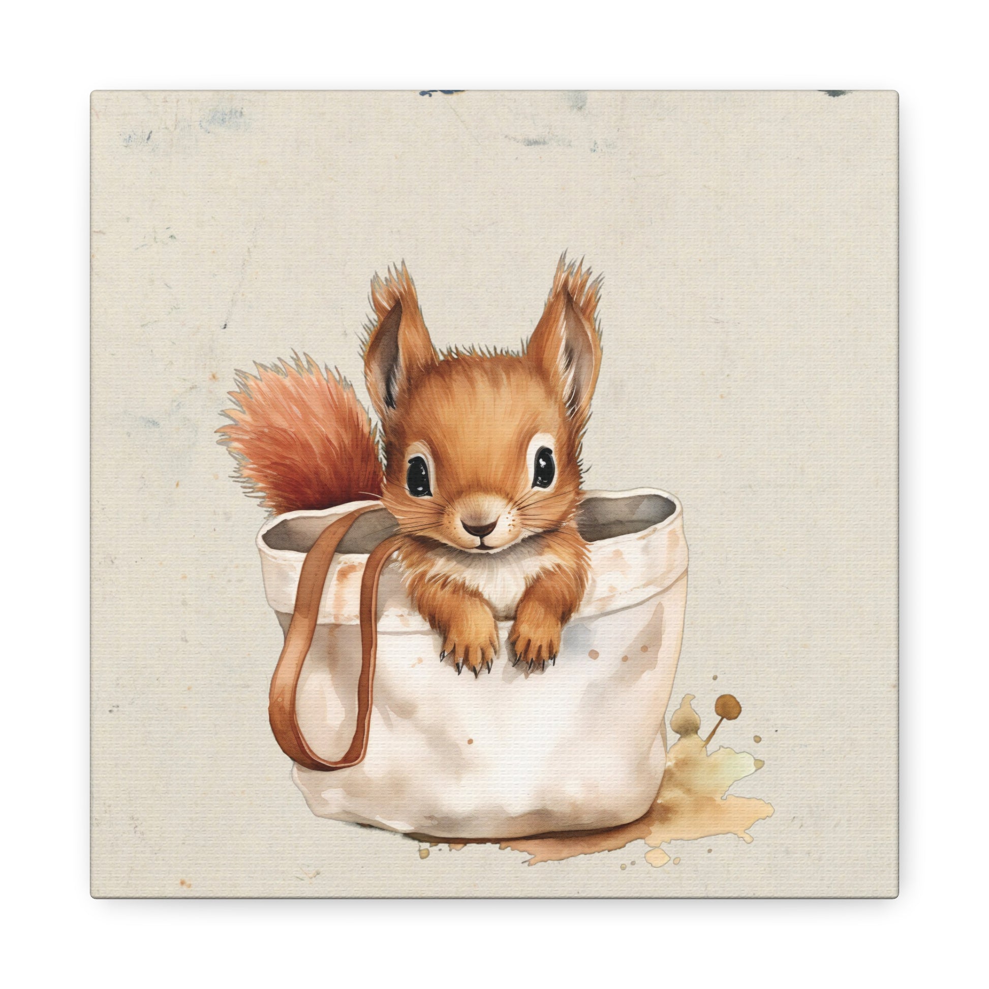 Pocket Squirrel Canvas Wall Art Square - Canvasses