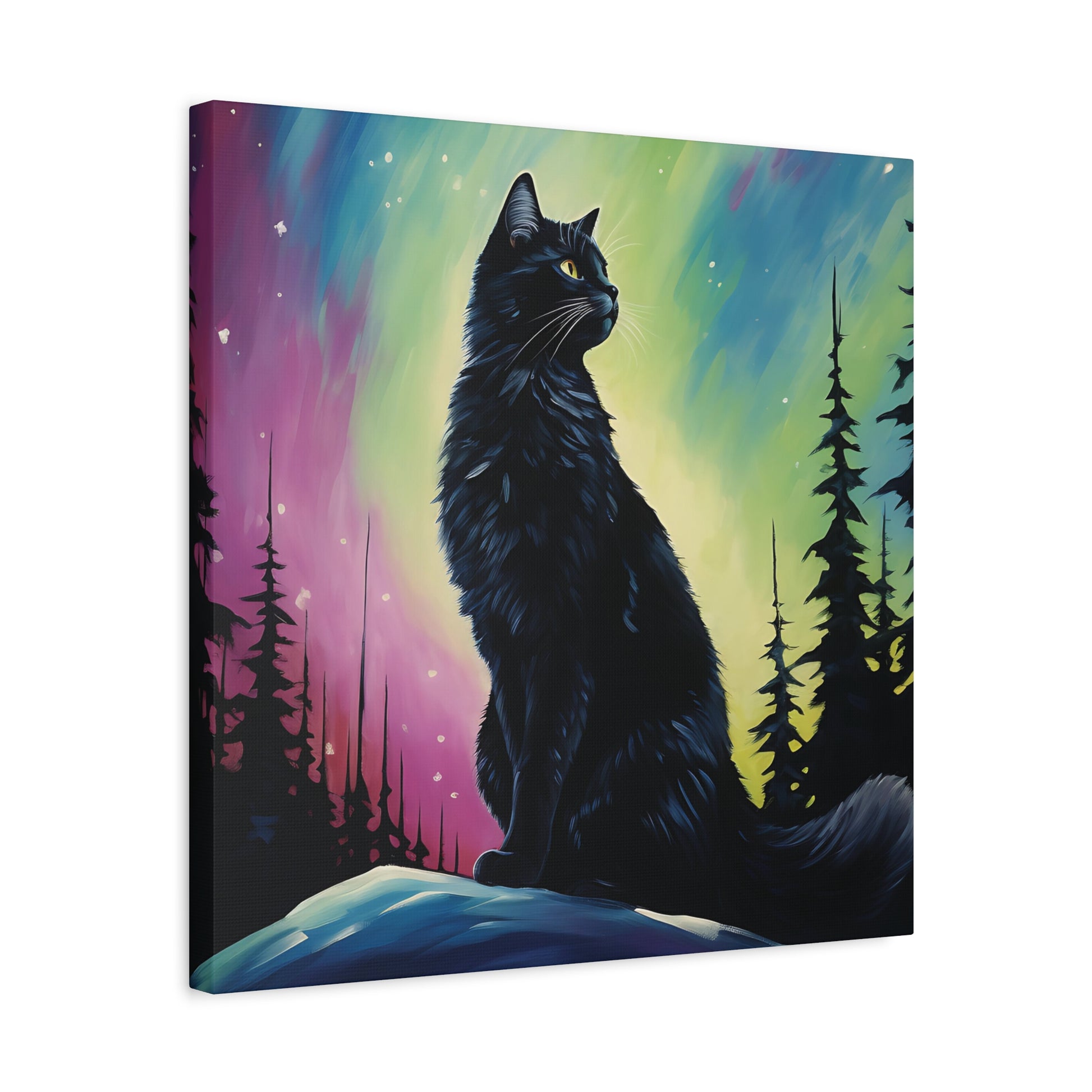 Aurora Cat Canvas Wall Art Square - Canvasses