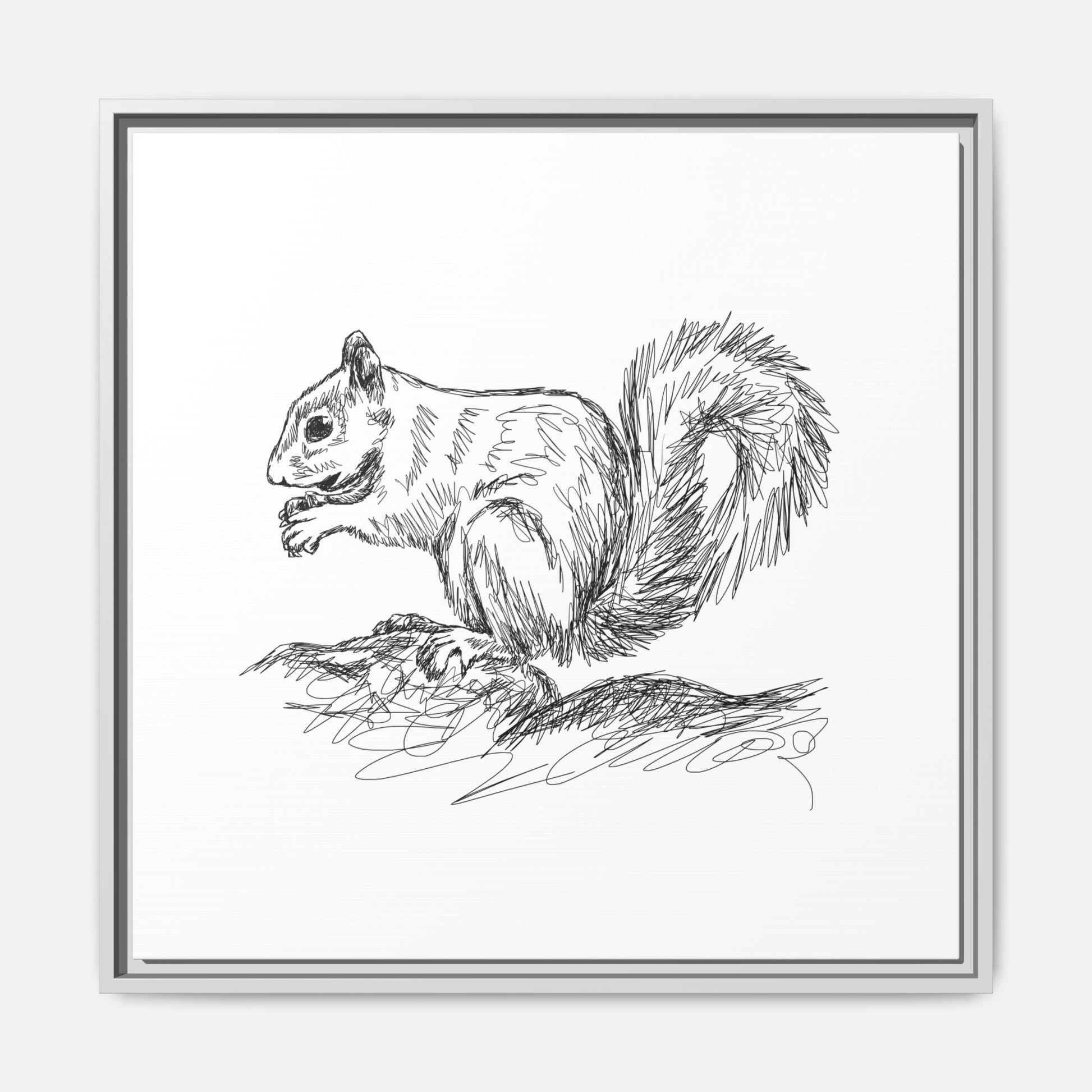 Squirrel Sketch Framed Canvas Wall Art Square - Canvasses