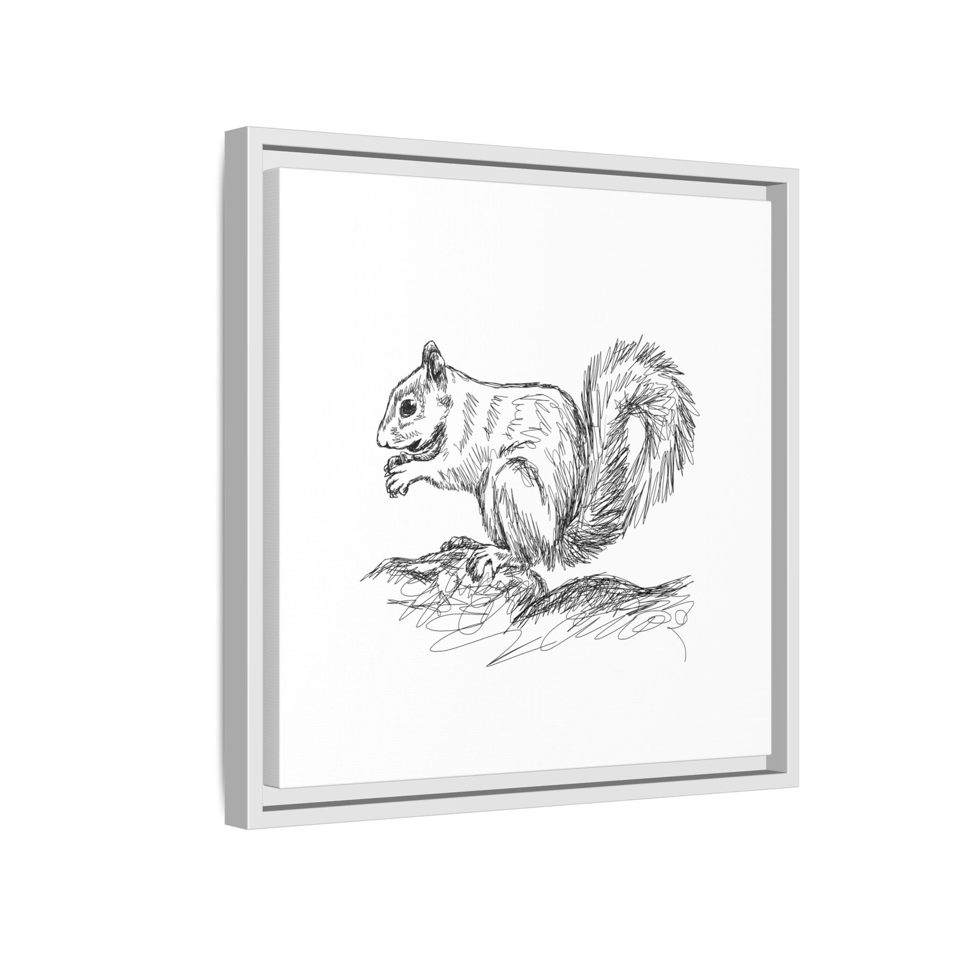 Squirrel Sketch Framed Canvas Wall Art Square - Canvasses