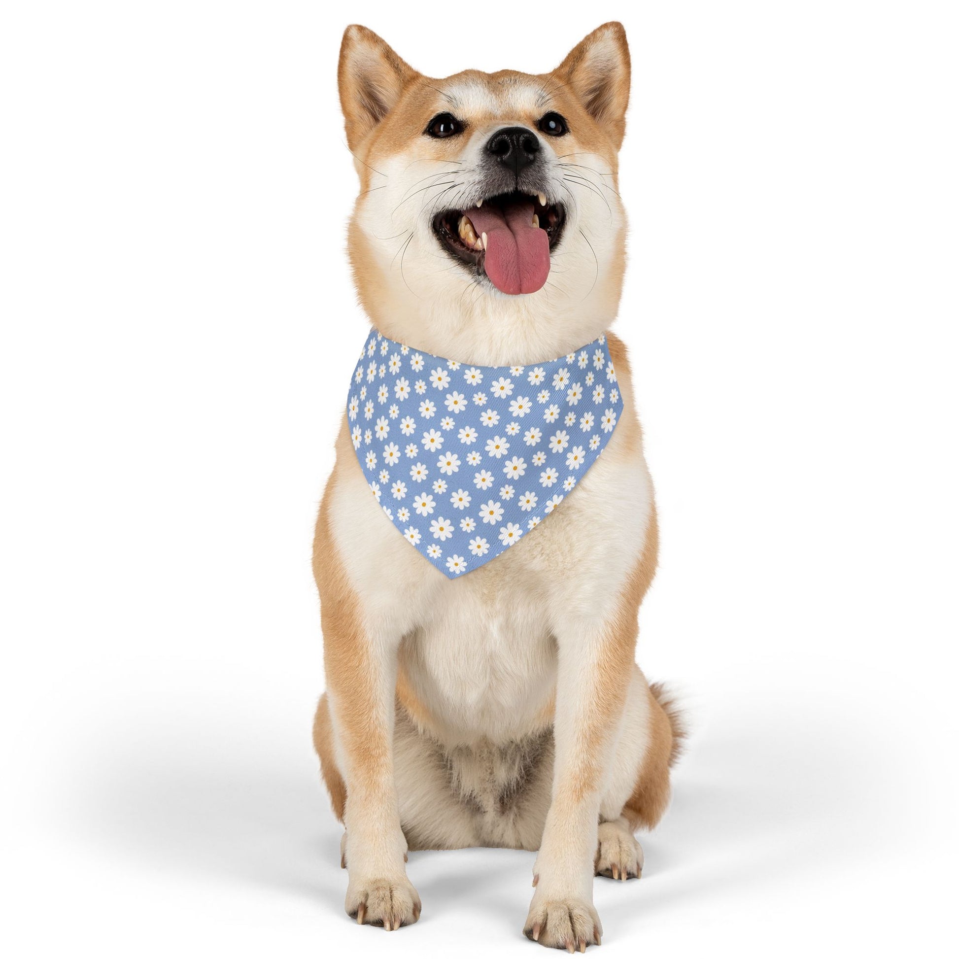 Blue Daisies Pet Bandana Collar - Canvasses