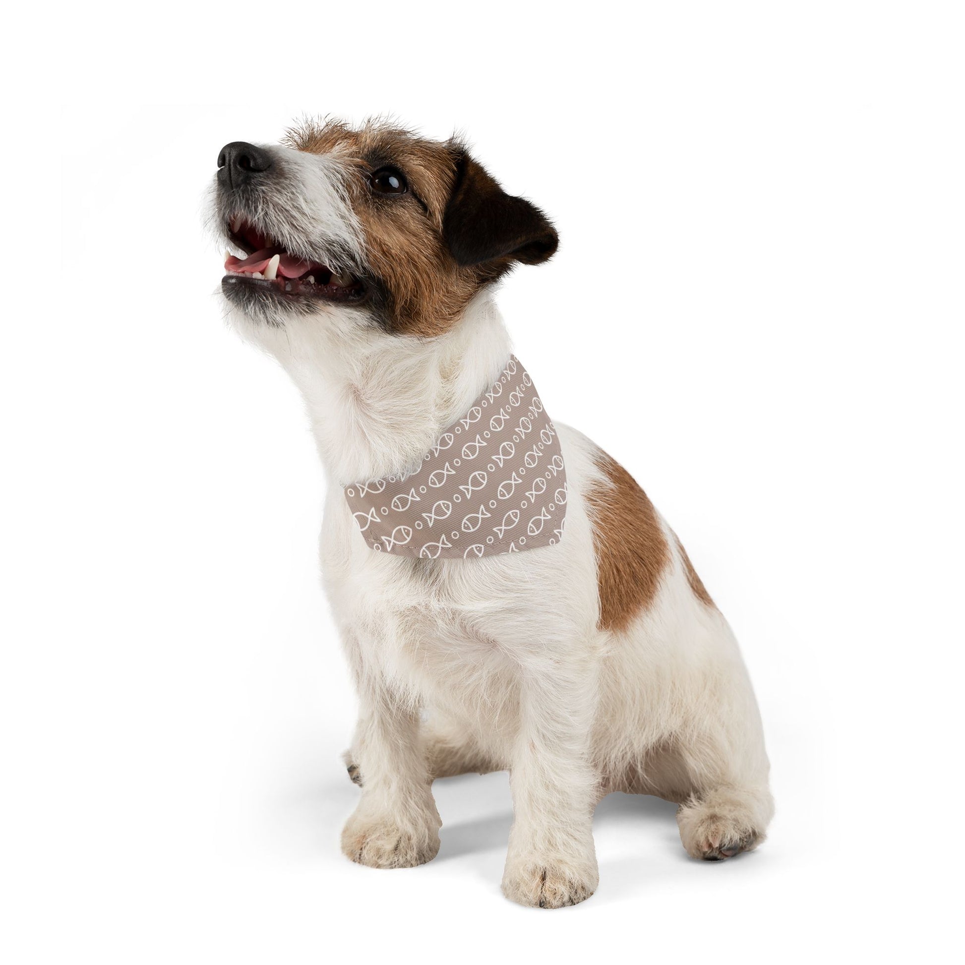 Endless Fishes Pet Bandana Collar - Canvasses