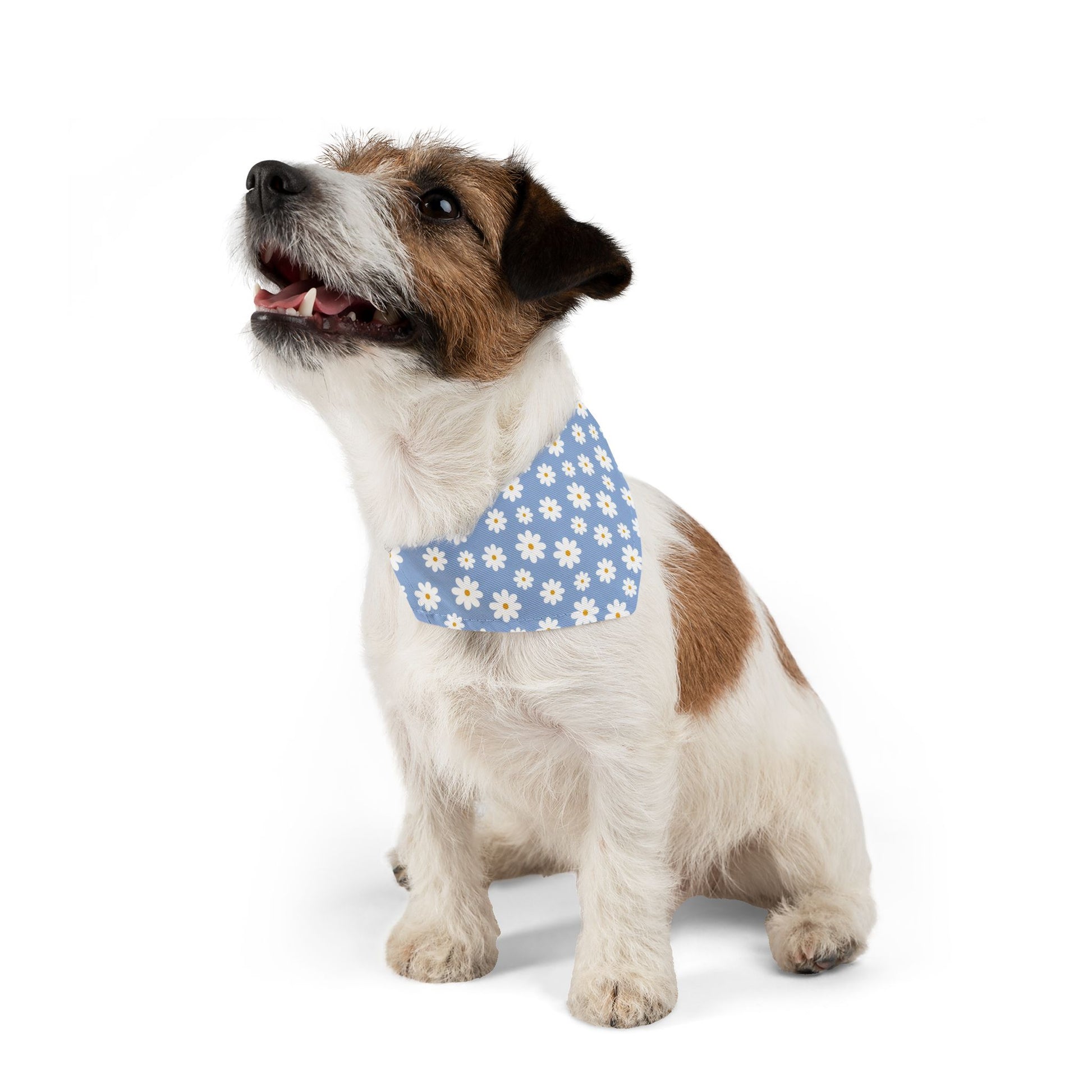 Blue Daisies Pet Bandana Collar - Canvasses