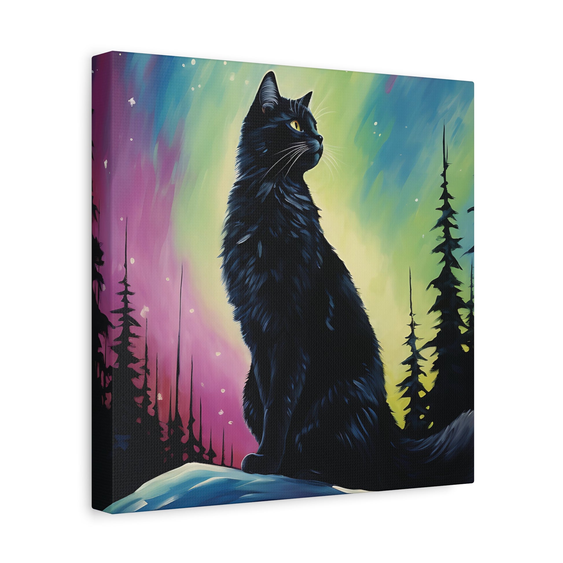 Aurora Cat Canvas Wall Art Square - Canvasses
