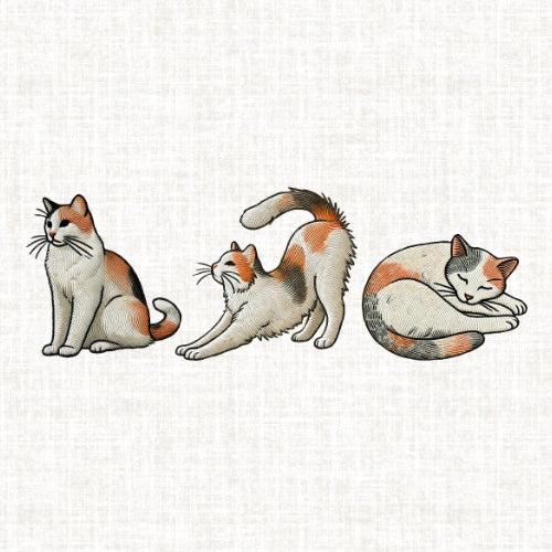 Embroidery
