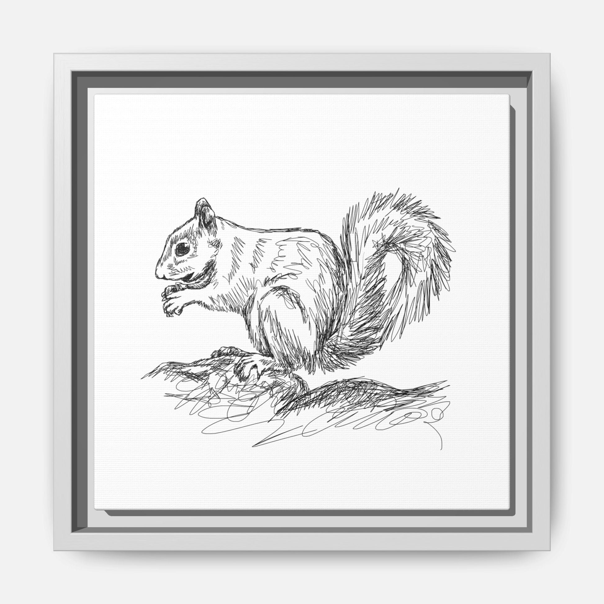 Squirrel Sketch Framed Canvas Wall Art Square - Canvasses
