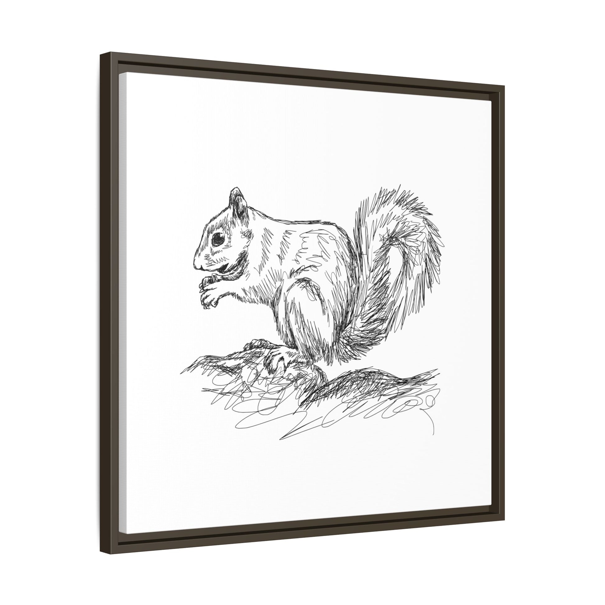 Squirrel Sketch Framed Canvas Wall Art Square - Canvasses