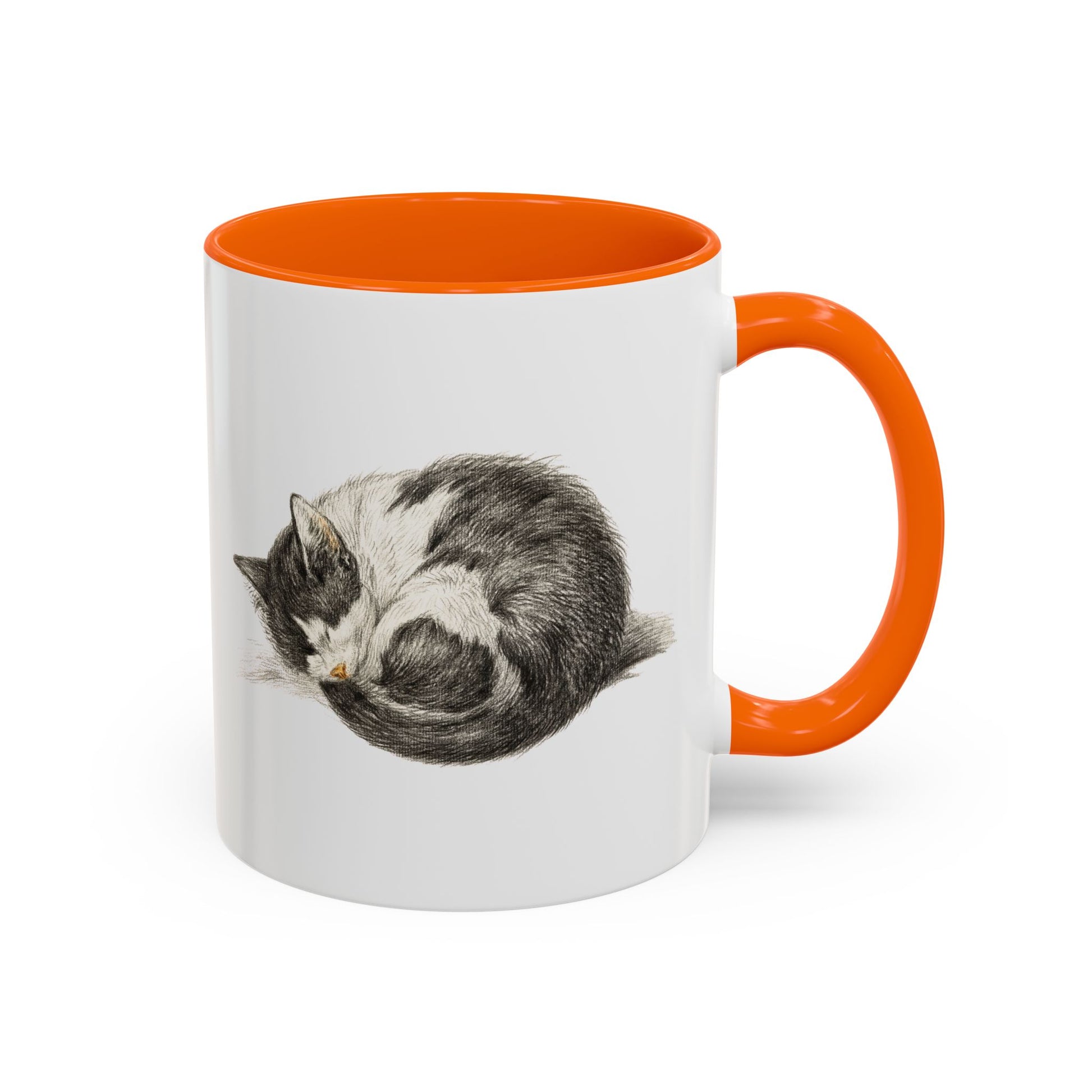 Furball Accent Mug - Canvasses