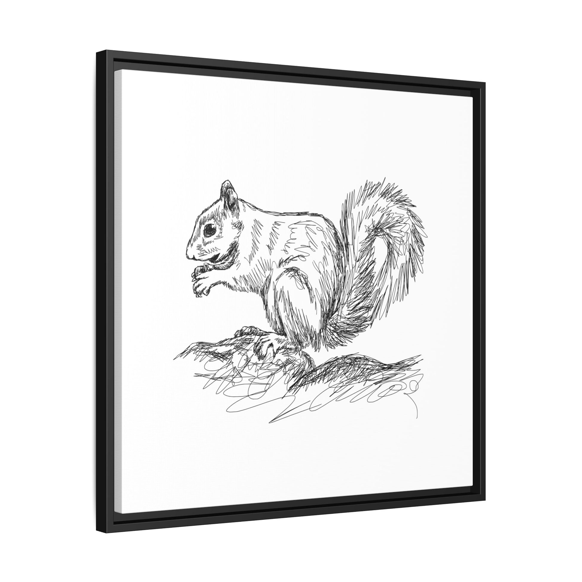 Squirrel Sketch Framed Canvas Wall Art Square - Canvasses