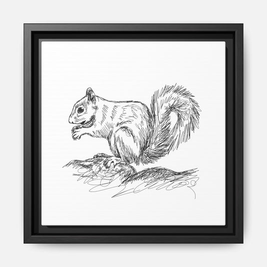 Squirrel Sketch Framed Canvas Wall Art Square - Canvasses