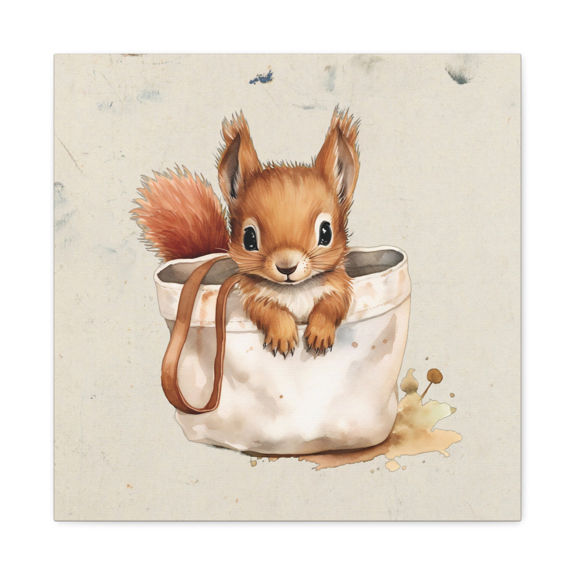 Pocket Squirrel Canvas Wall Art Square - Canvasses