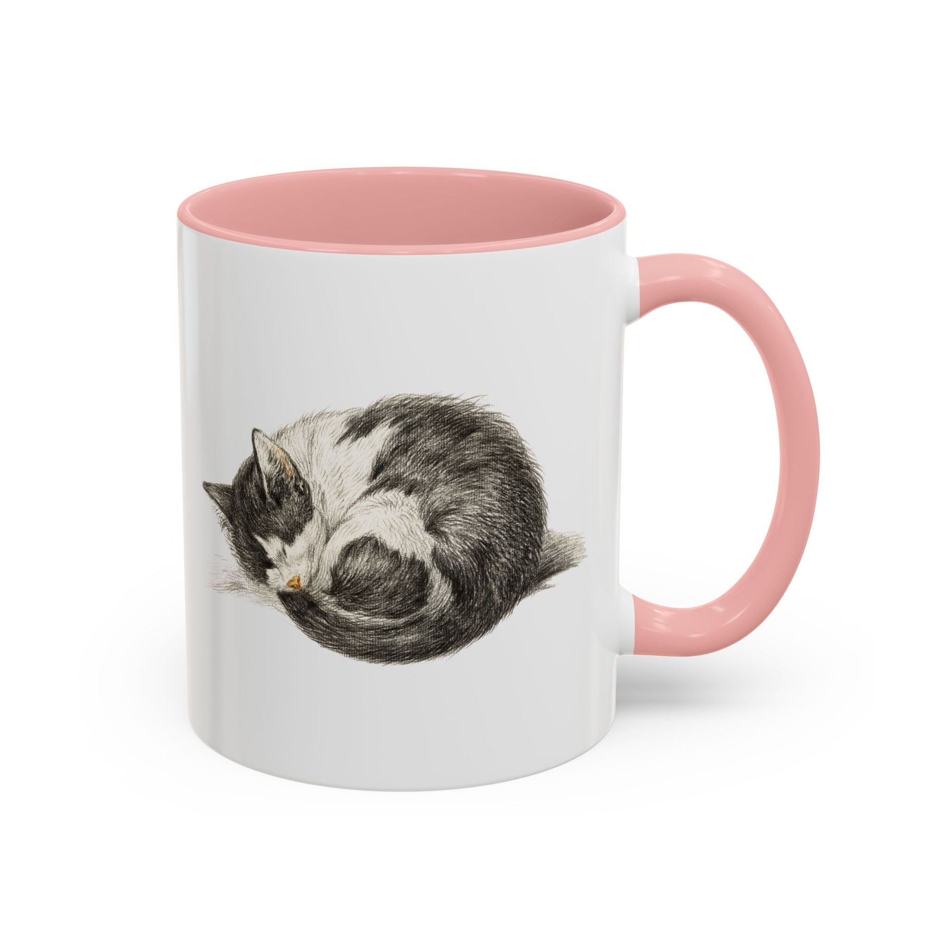Furball Accent Mug - Canvasses