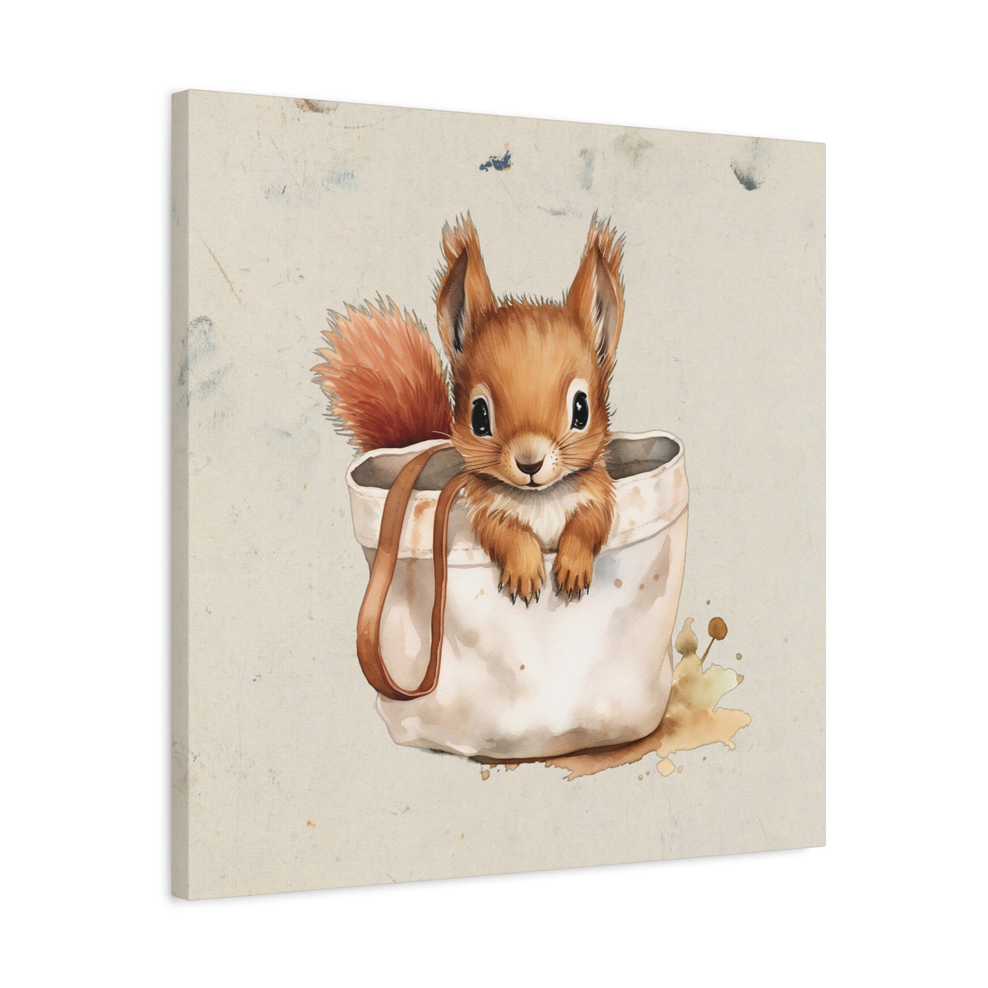 Pocket Squirrel Canvas Wall Art Square - Canvasses