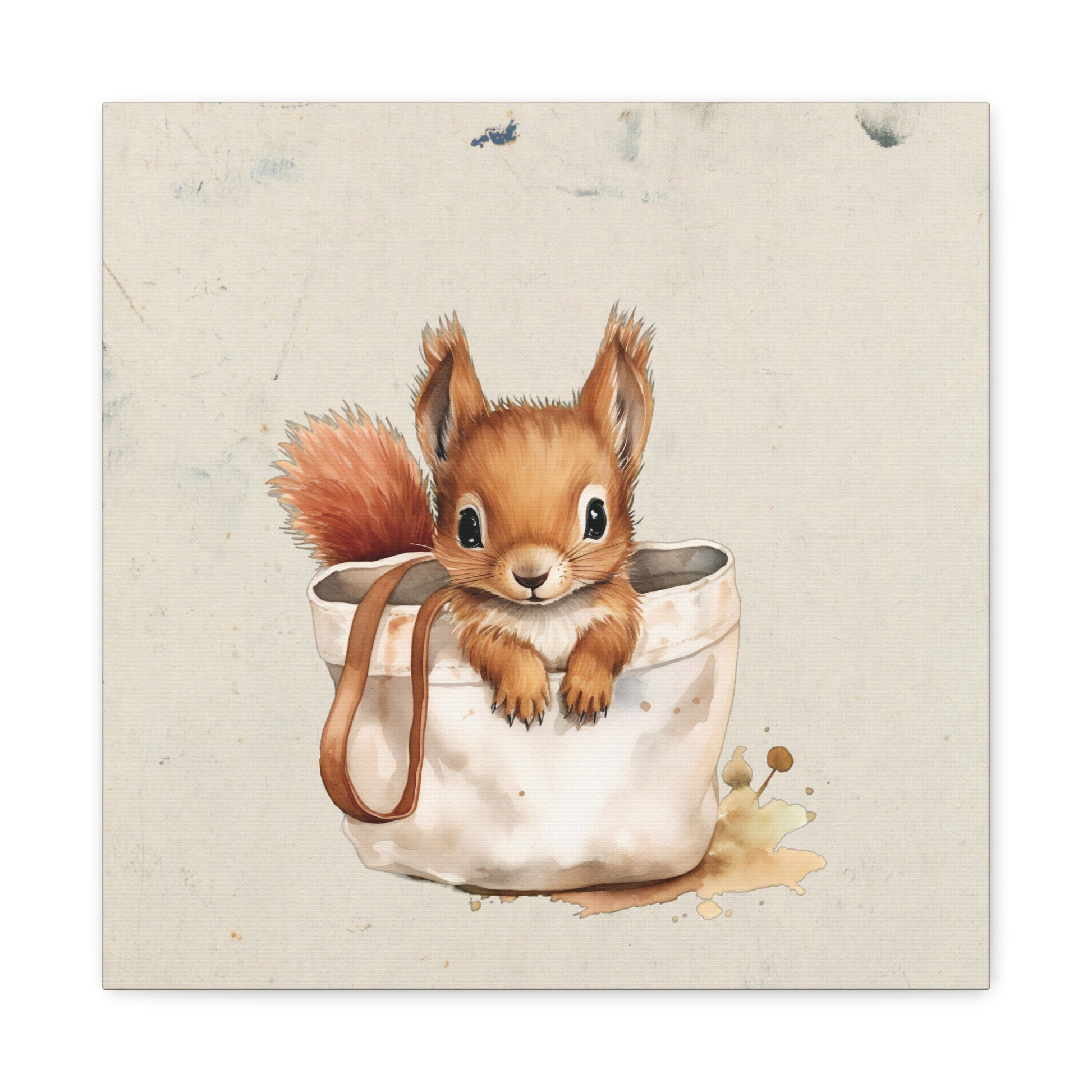 Pocket Squirrel Canvas Wall Art Square - Canvasses