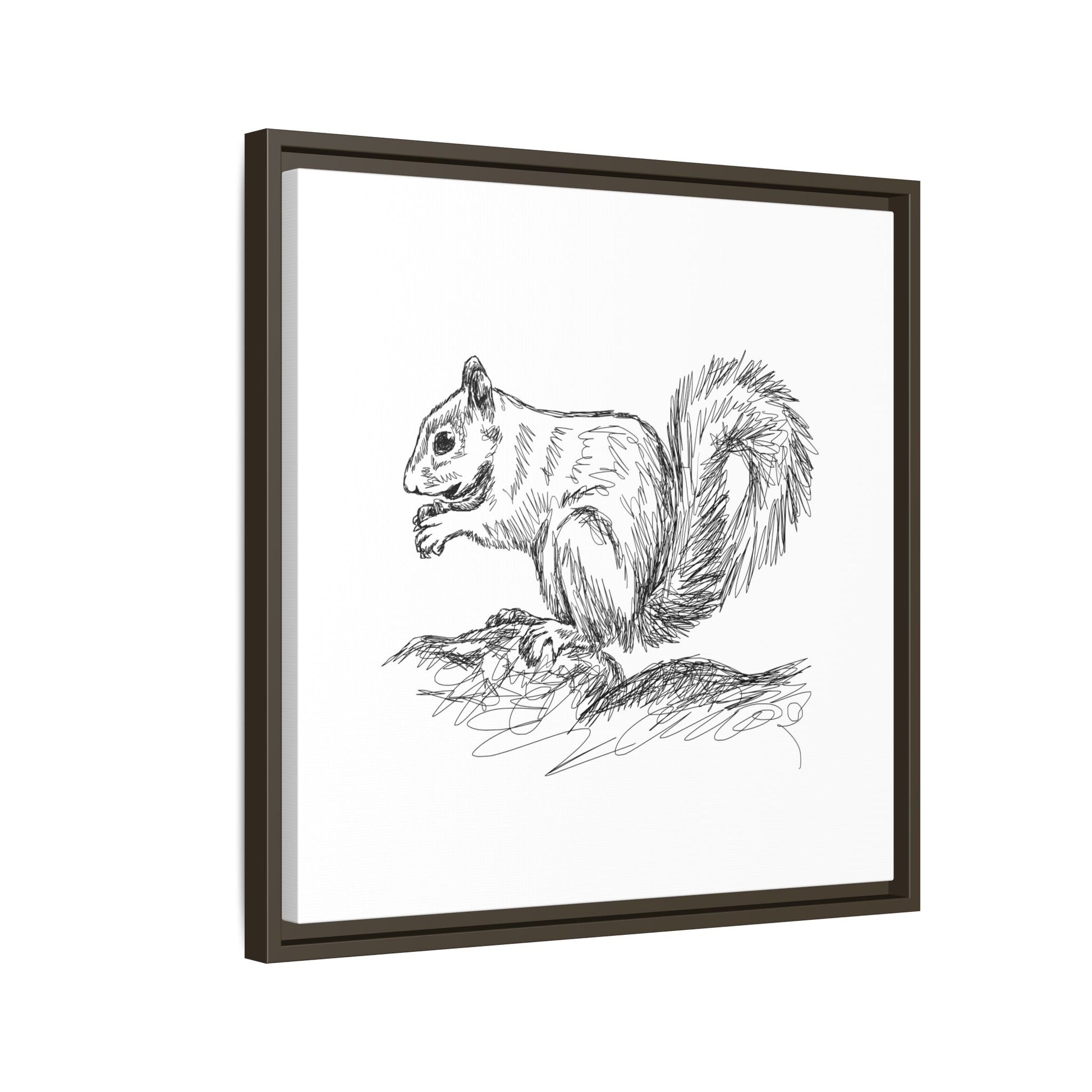 Squirrel Sketch Framed Canvas Wall Art Square - Canvasses