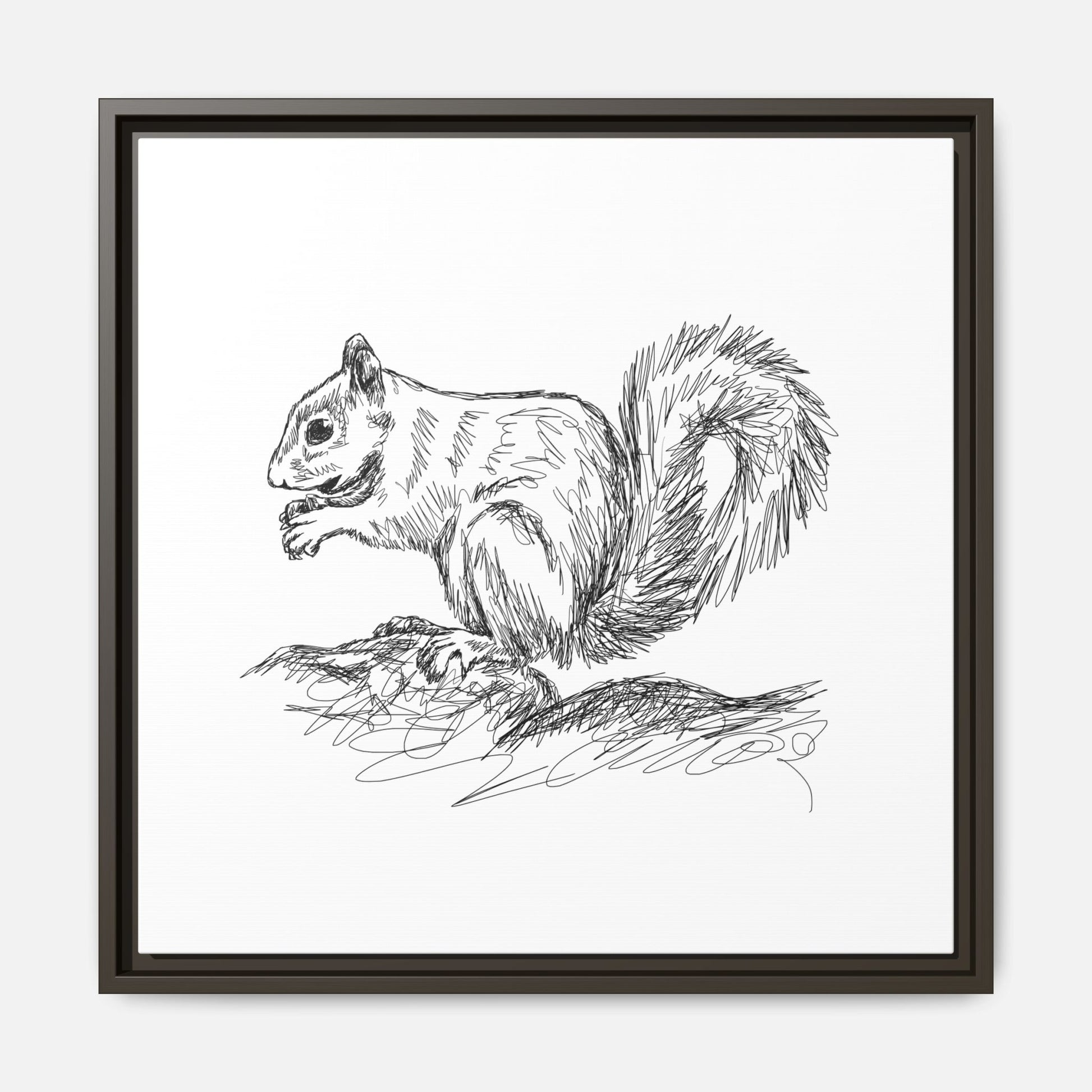 Squirrel Sketch Framed Canvas Wall Art Square - Canvasses