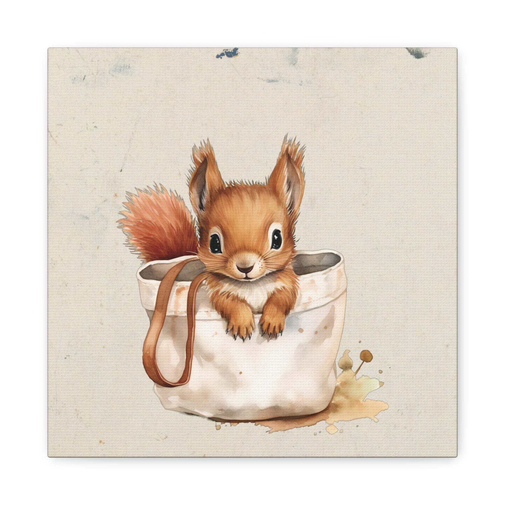 Pocket Squirrel Canvas Wall Art Square - Canvasses