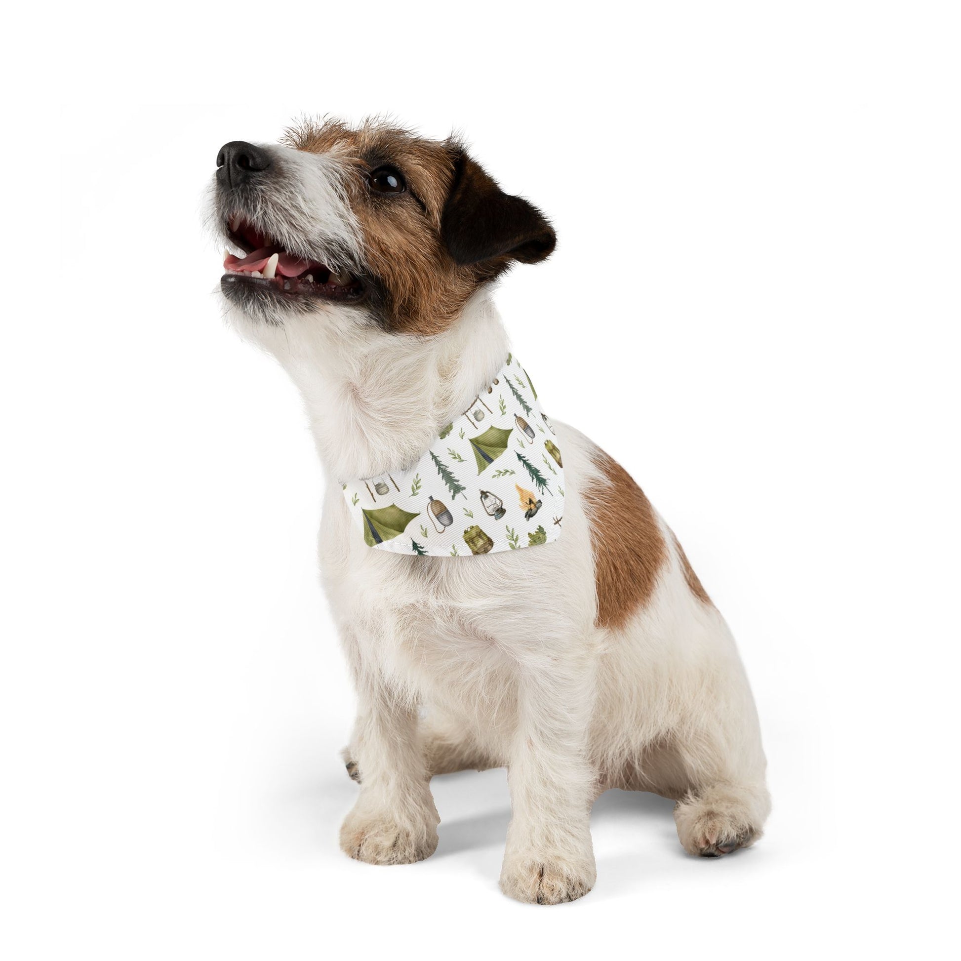 Camping Gear Pet Bandana Collar - Canvasses