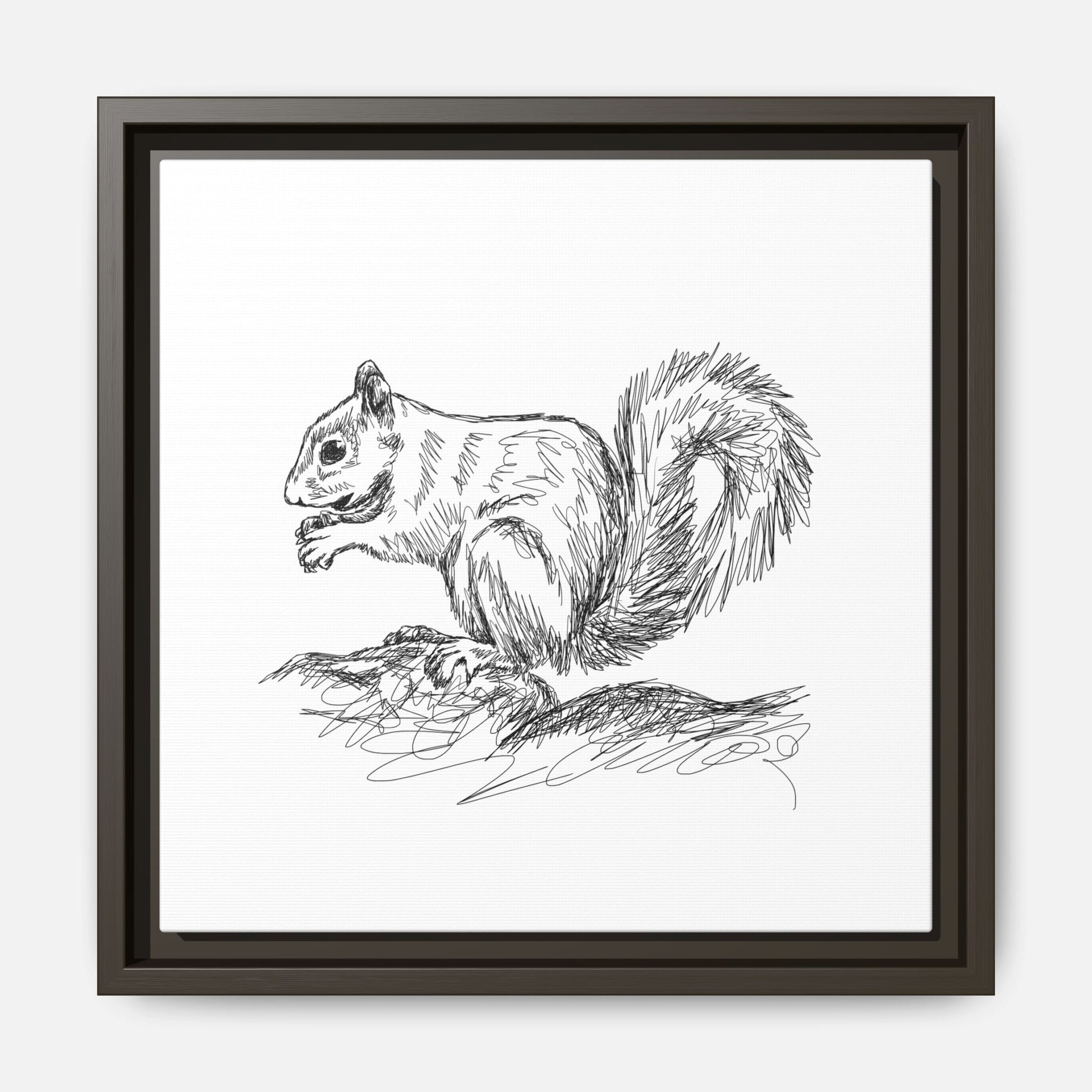 Squirrel Sketch Framed Canvas Wall Art Square - Canvasses