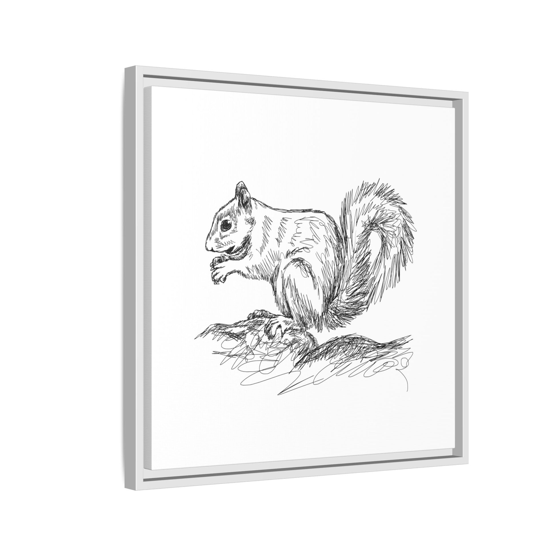 Squirrel Sketch Framed Canvas Wall Art Square - Canvasses