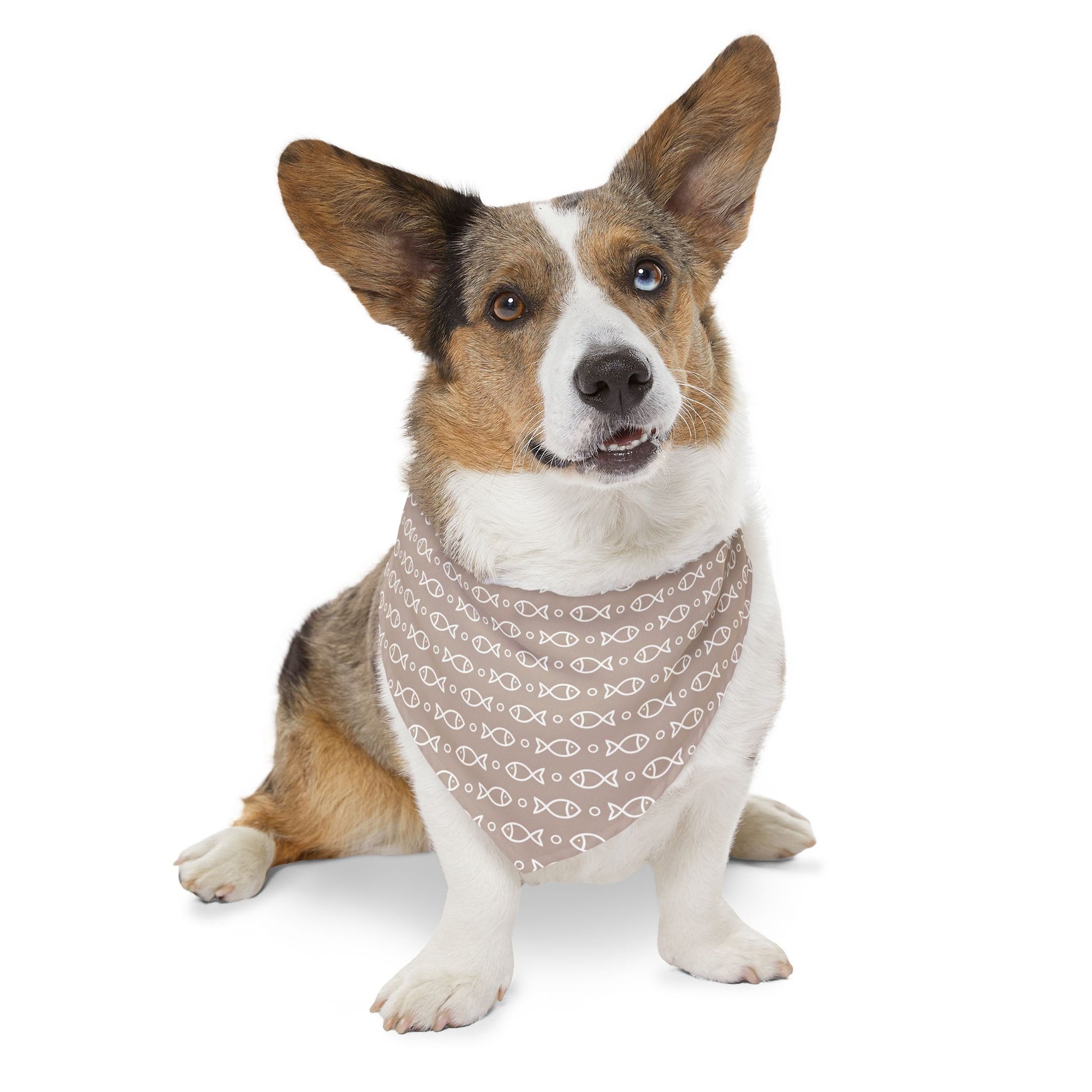 Endless Fishes Pet Bandana Collar - Canvasses