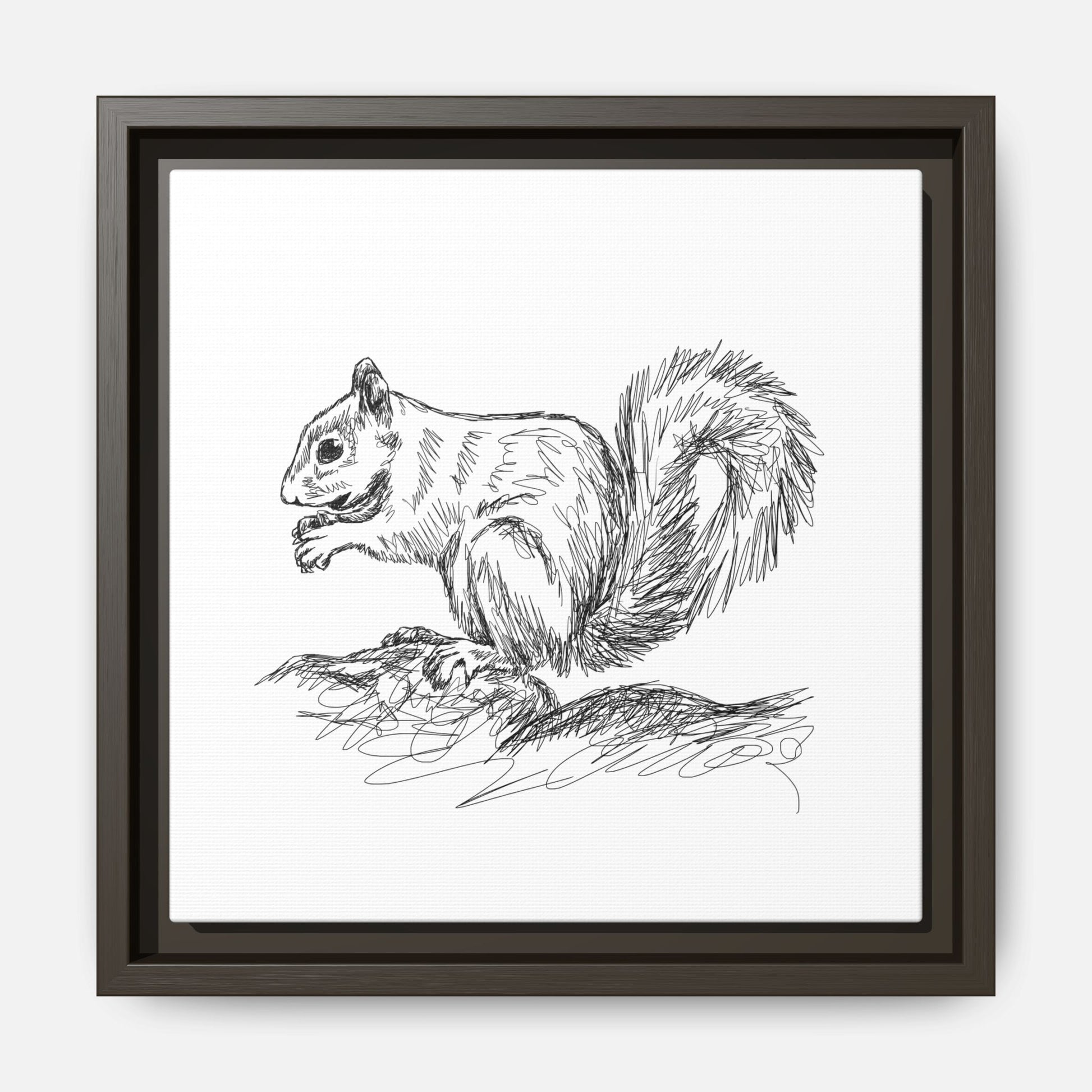 Squirrel Sketch Framed Canvas Wall Art Square - Canvasses