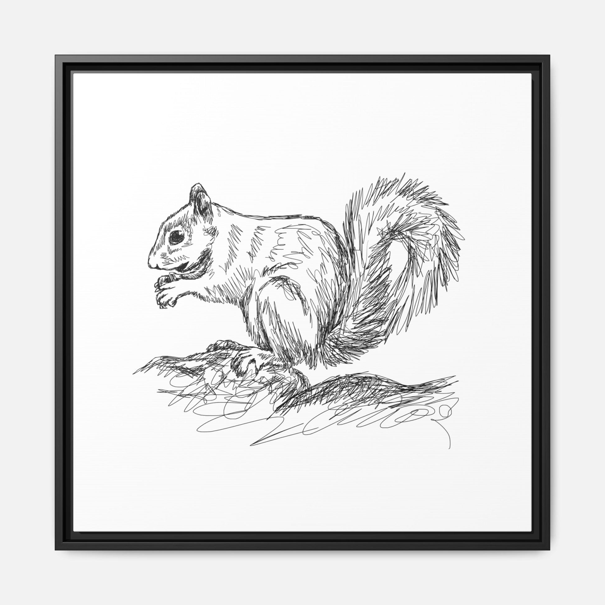 Squirrel Sketch Framed Canvas Wall Art Square - Canvasses