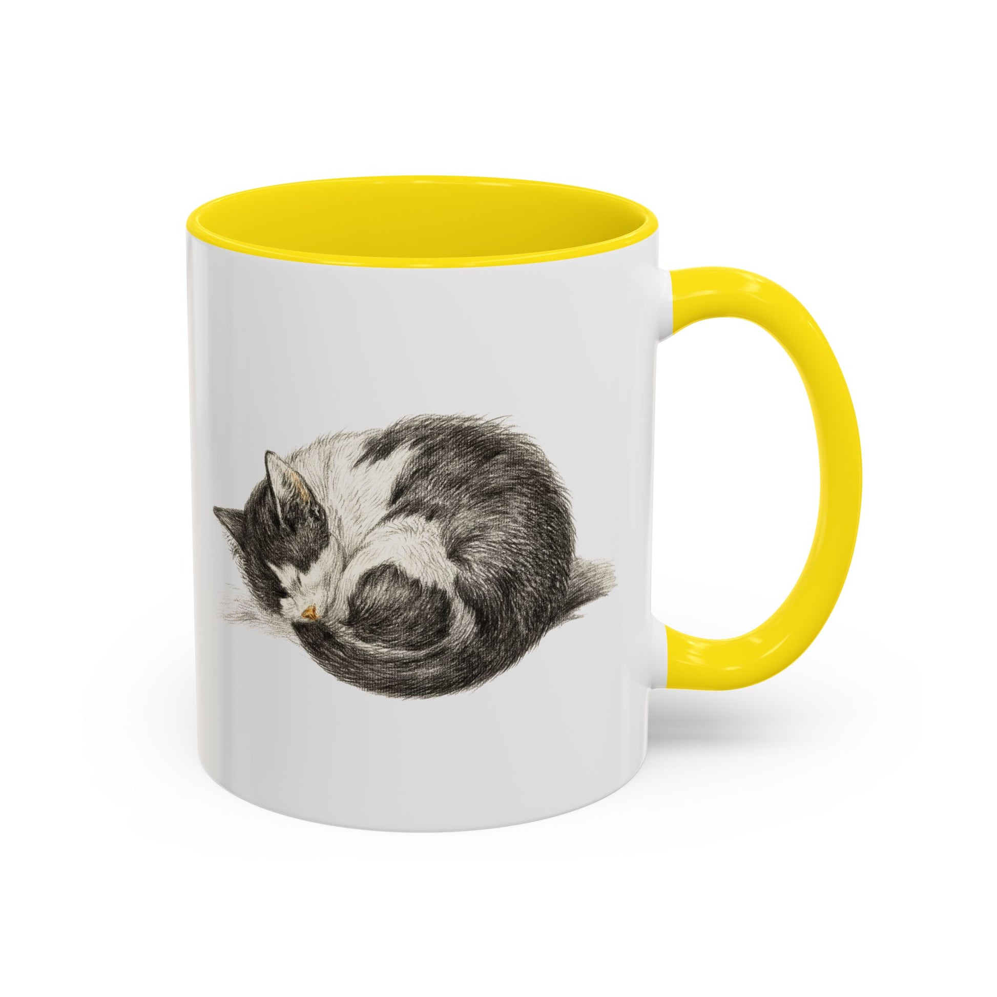 Furball Accent Mug - Canvasses