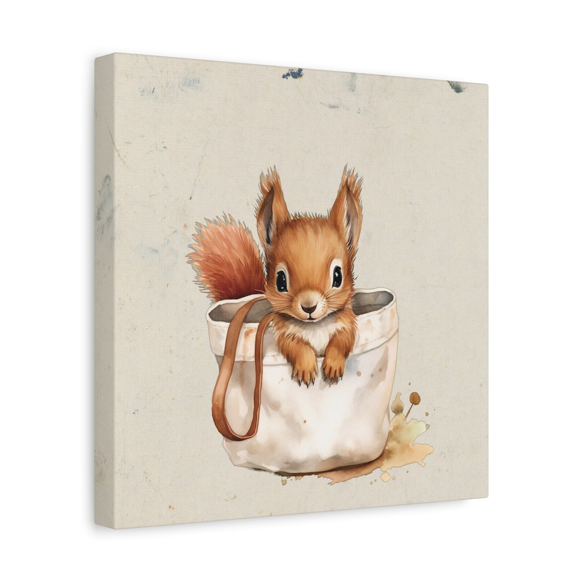 Pocket Squirrel Canvas Wall Art Square - Canvasses