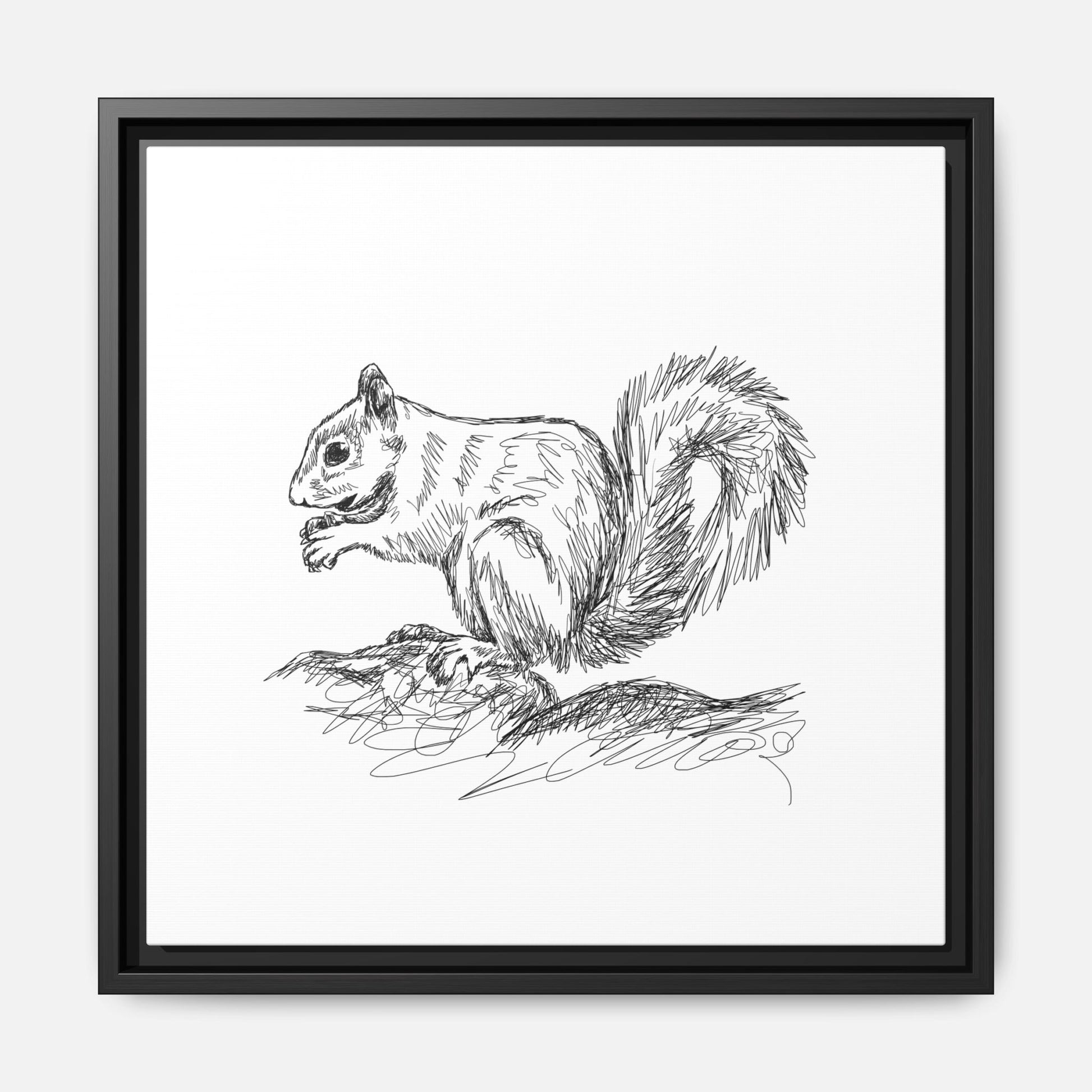Squirrel Sketch Framed Canvas Wall Art Square - Canvasses