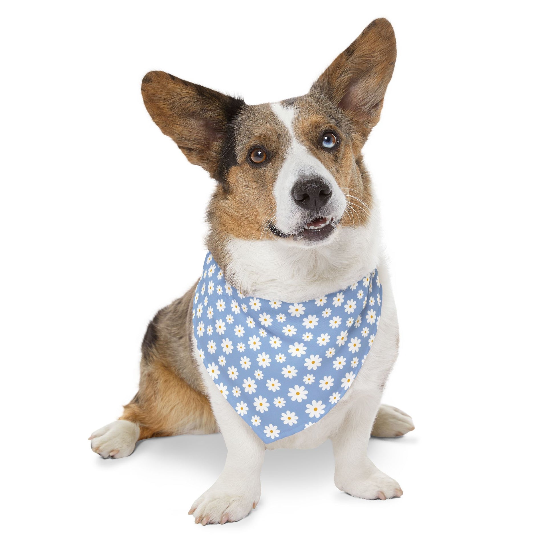 Blue Daisies Pet Bandana Collar - Canvasses