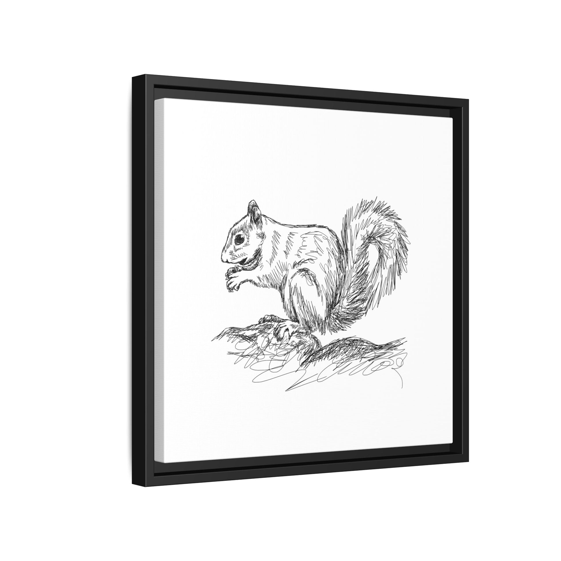 Squirrel Sketch Framed Canvas Wall Art Square - Canvasses