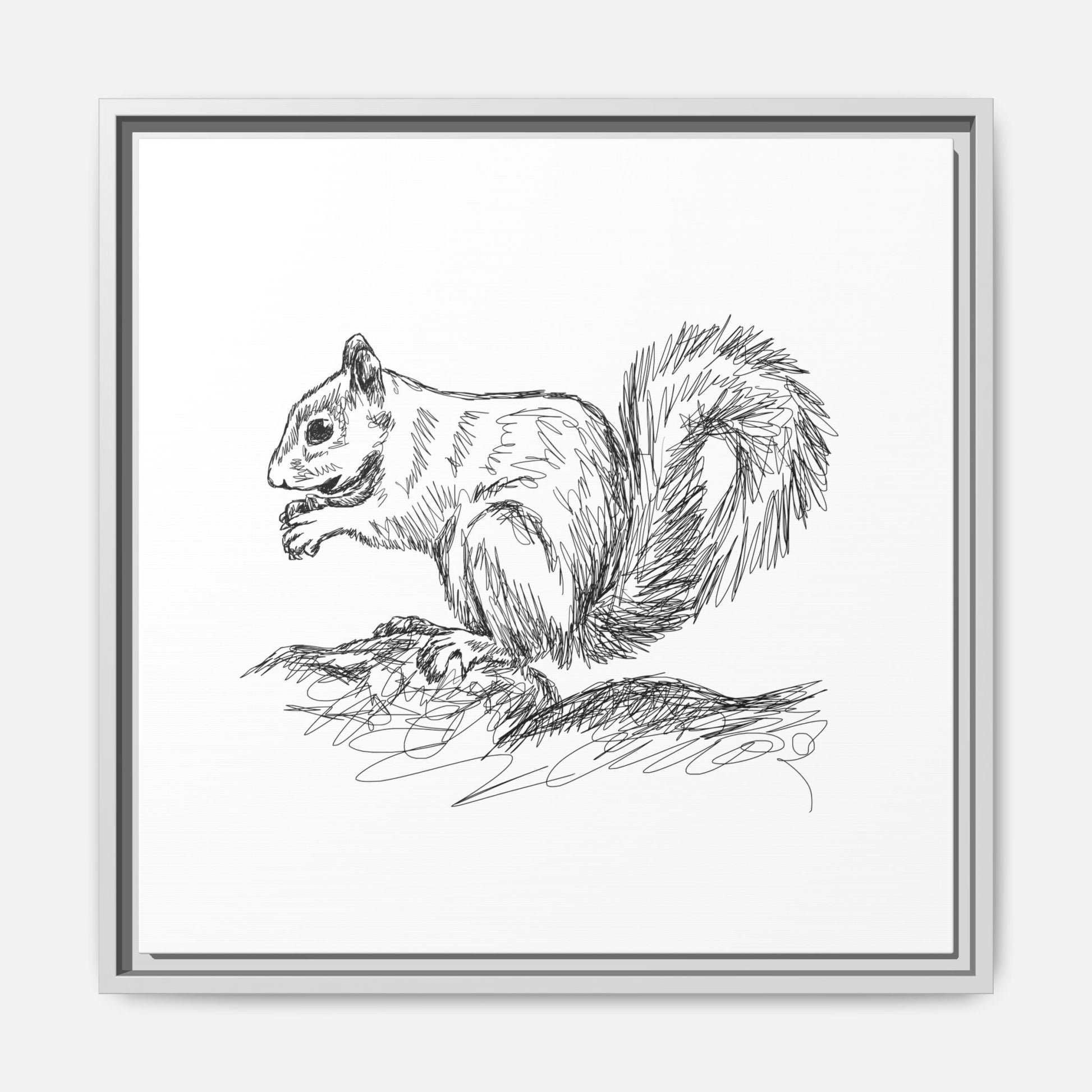 Squirrel Sketch Framed Canvas Wall Art Square - Canvasses