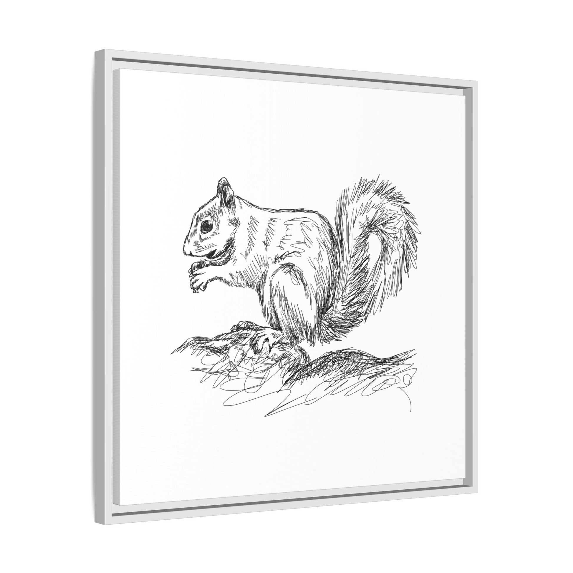 Squirrel Sketch Framed Canvas Wall Art Square - Canvasses