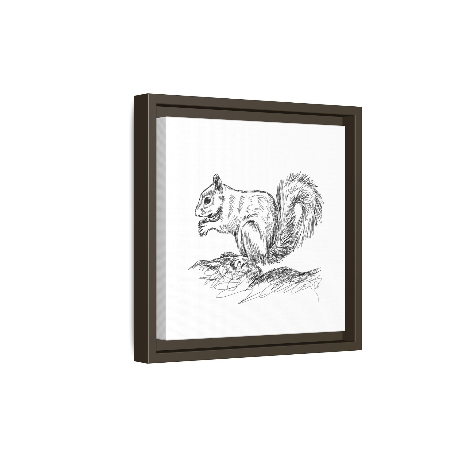 Squirrel Sketch Framed Canvas Wall Art Square - Canvasses