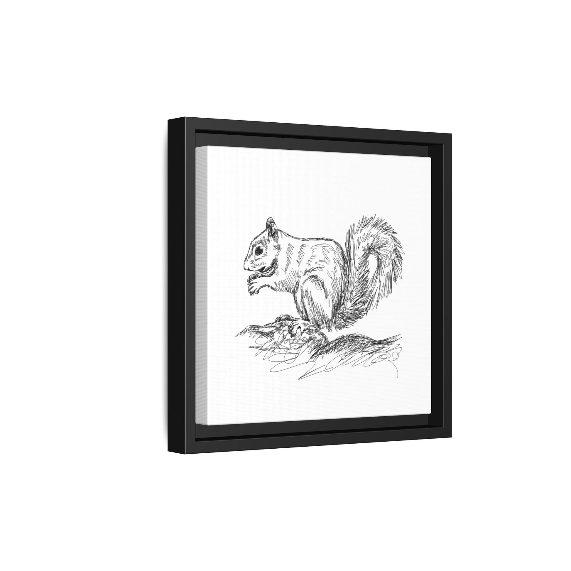 Squirrel Sketch Framed Canvas Wall Art Square - Canvasses