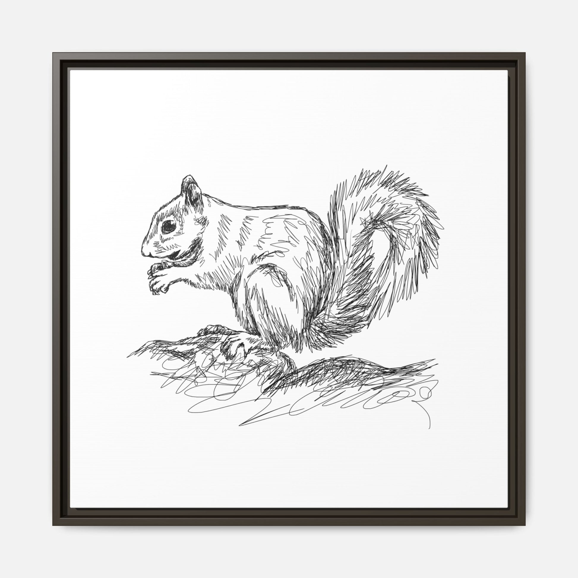 Squirrel Sketch Framed Canvas Wall Art Square - Canvasses