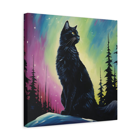Aurora Cat Canvas Wall Art Square - Canvasses