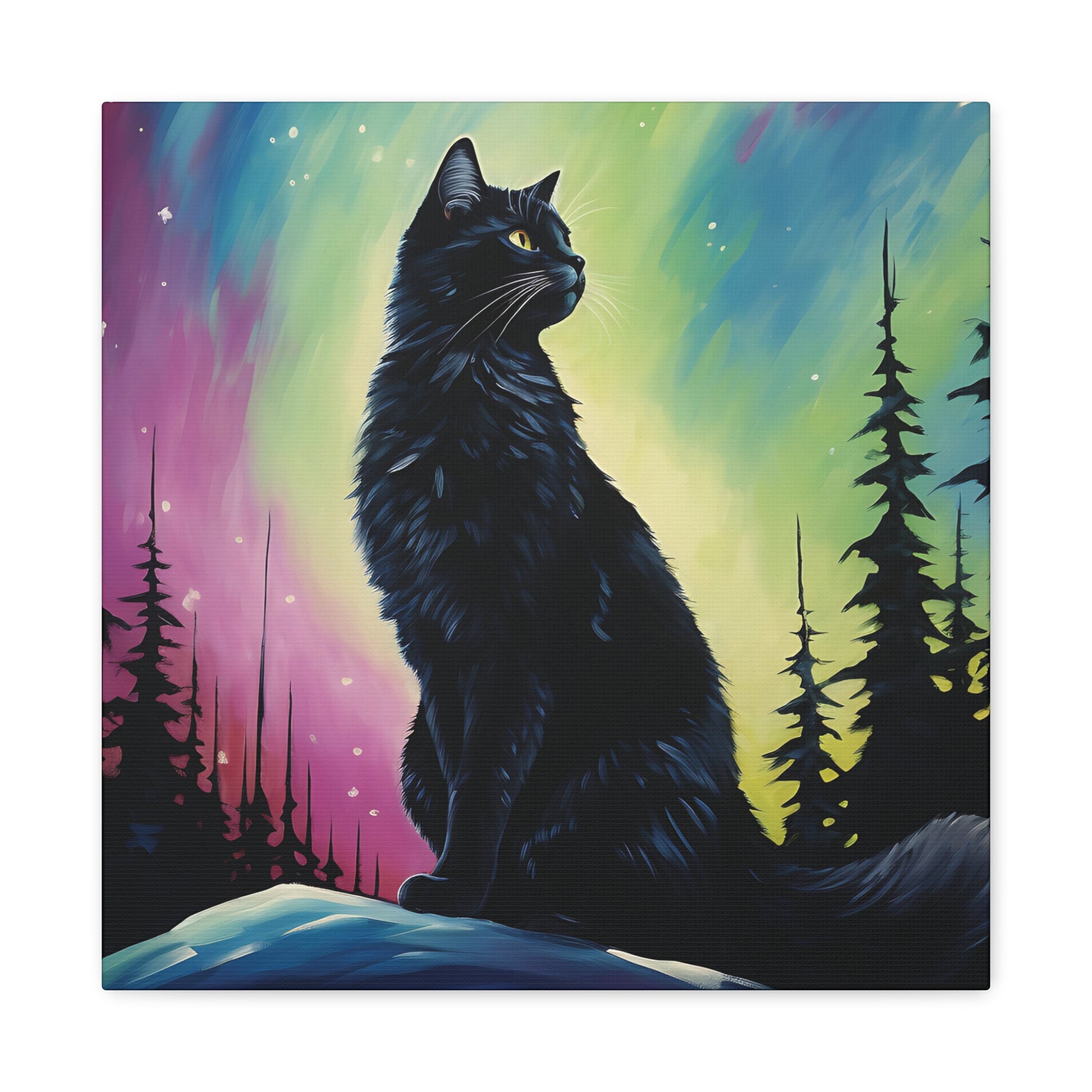Aurora Cat Canvas Wall Art Square - Canvasses