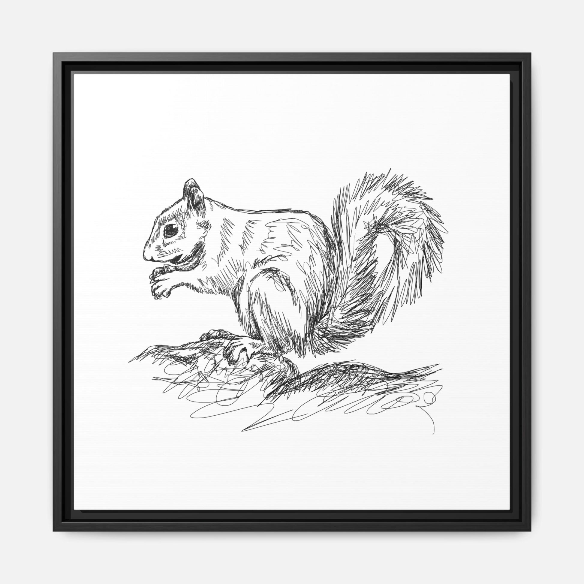 Squirrel Sketch Framed Canvas Wall Art Square - Canvasses