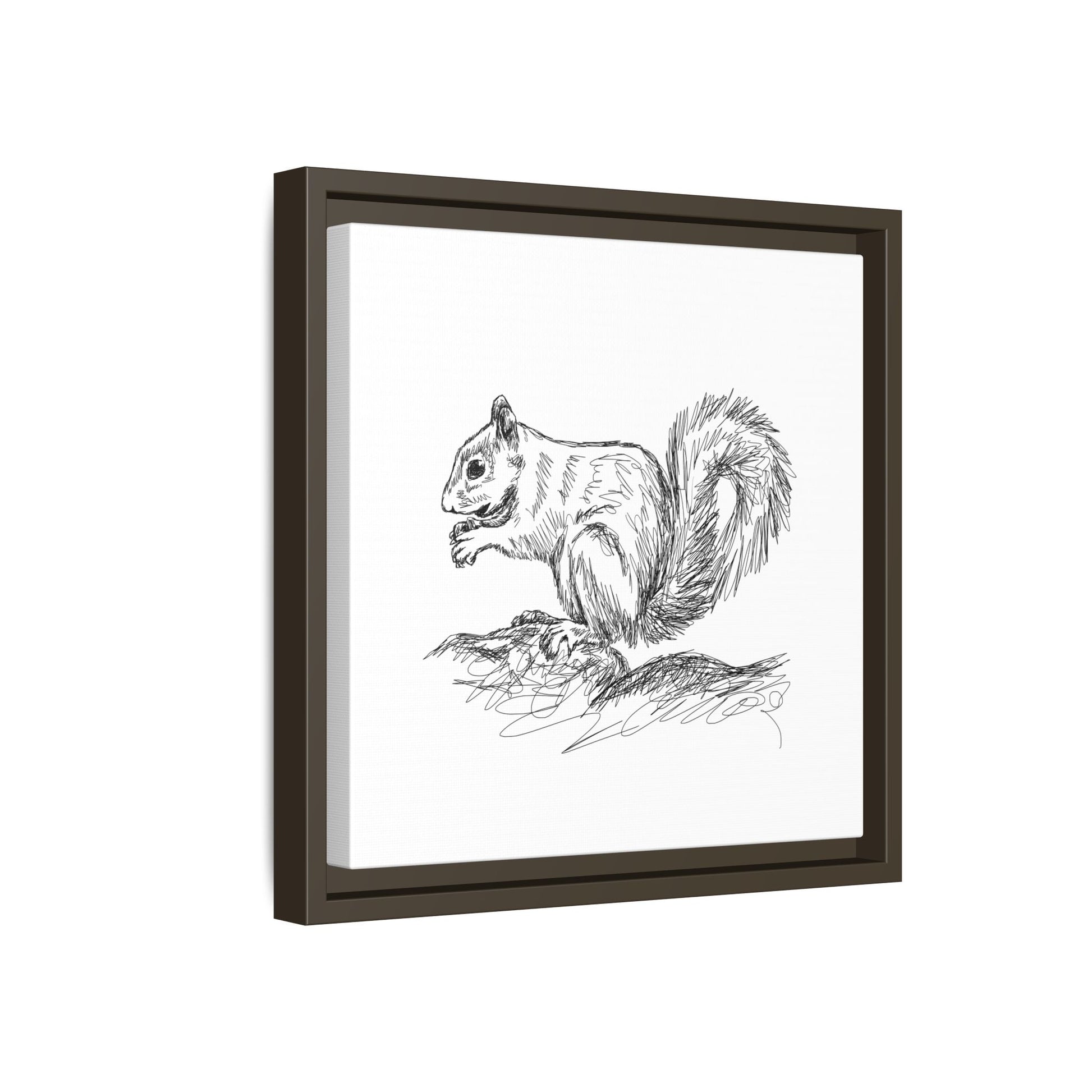 Squirrel Sketch Framed Canvas Wall Art Square - Canvasses