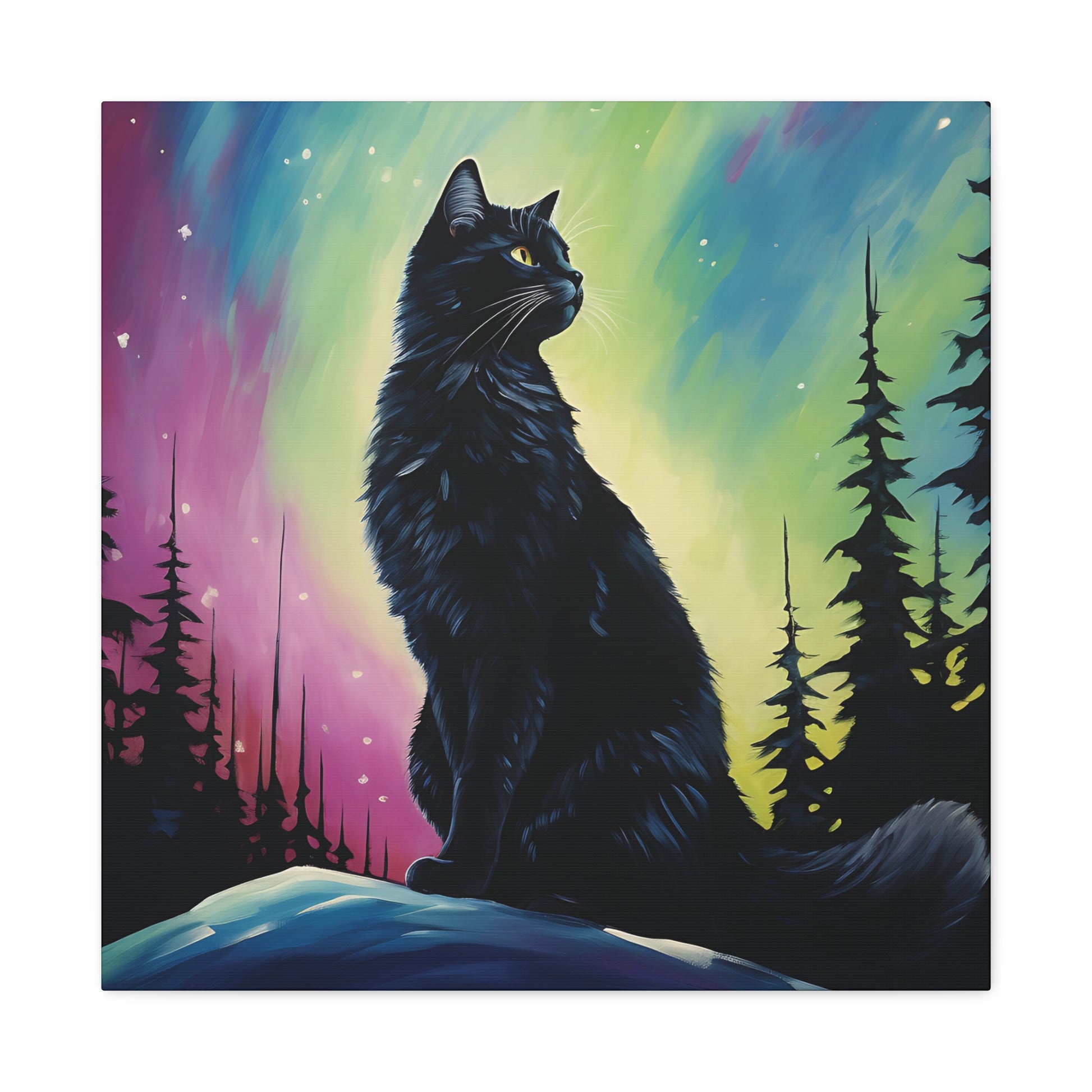 Aurora Cat Canvas Wall Art Square - Canvasses