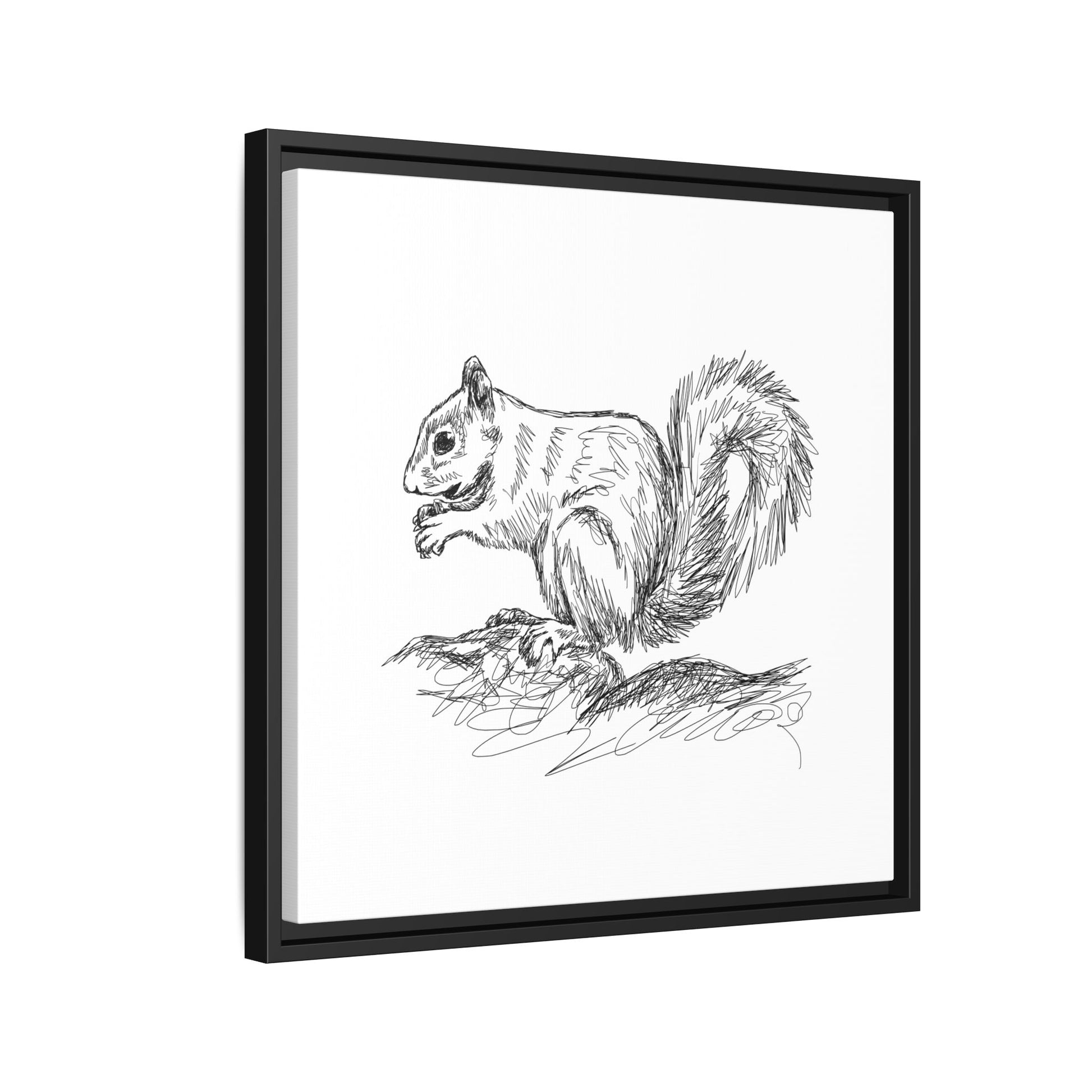 Squirrel Sketch Framed Canvas Wall Art Square - Canvasses