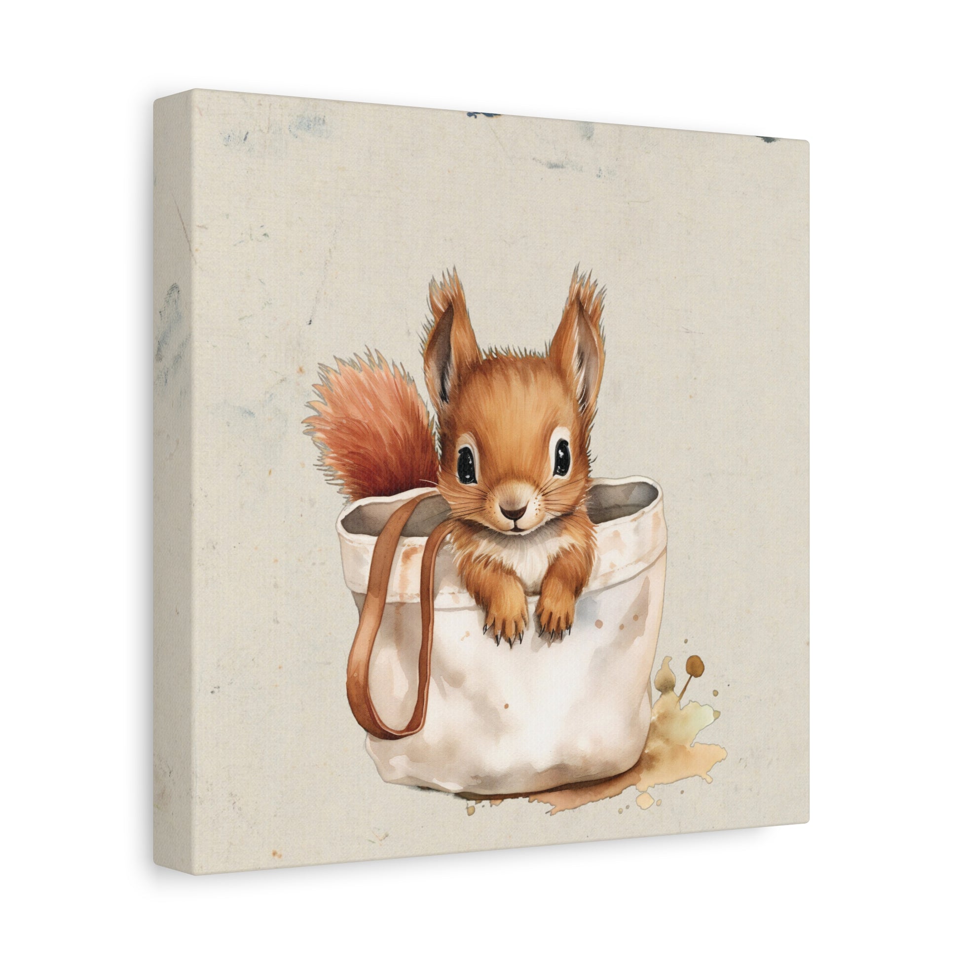 Pocket Squirrel Canvas Wall Art Square - Canvasses