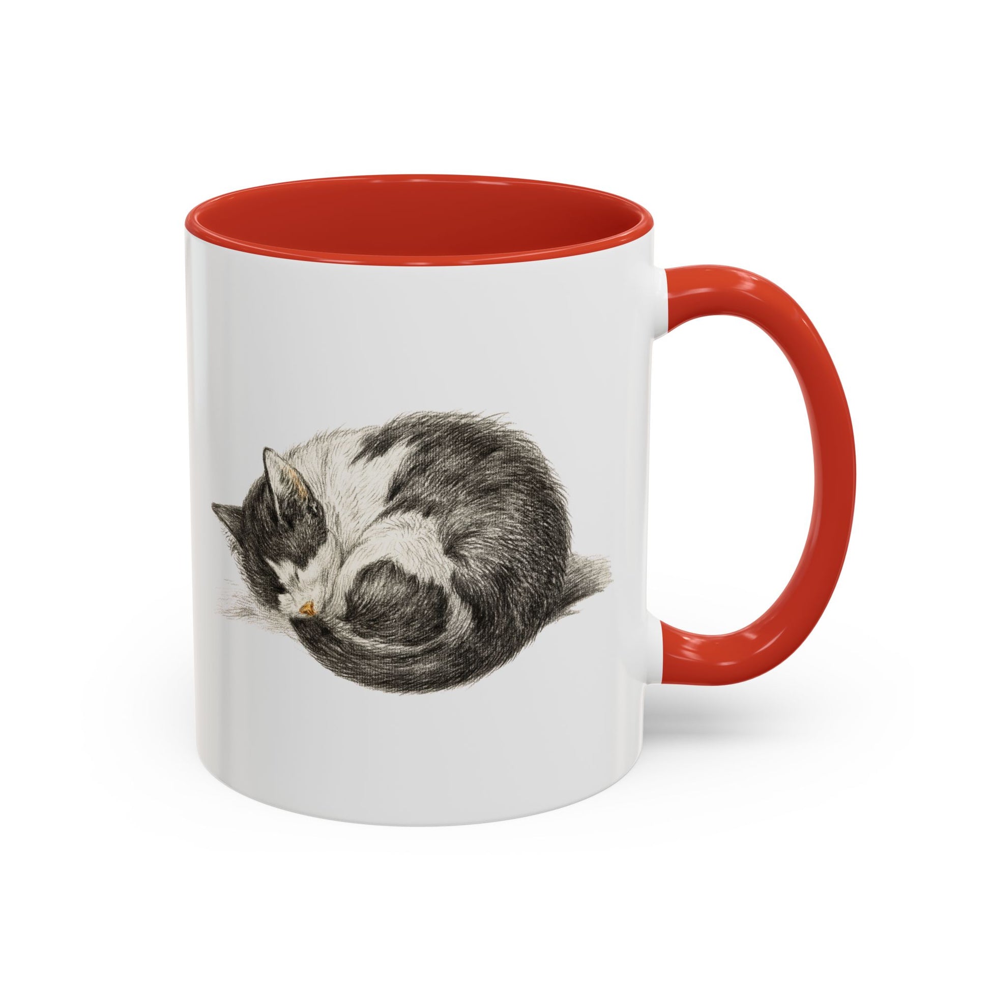 Furball Accent Mug - Canvasses