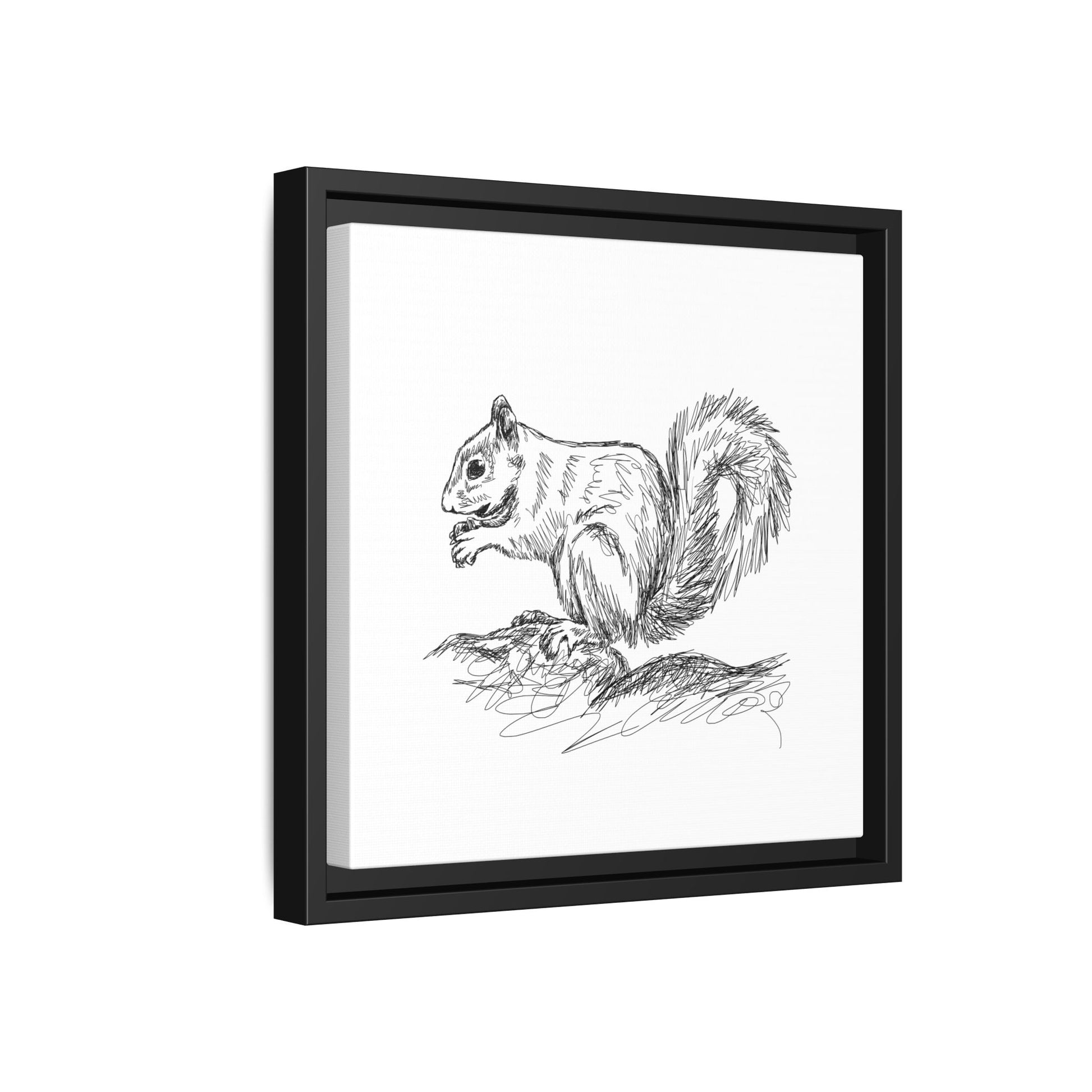 Squirrel Sketch Framed Canvas Wall Art Square - Canvasses