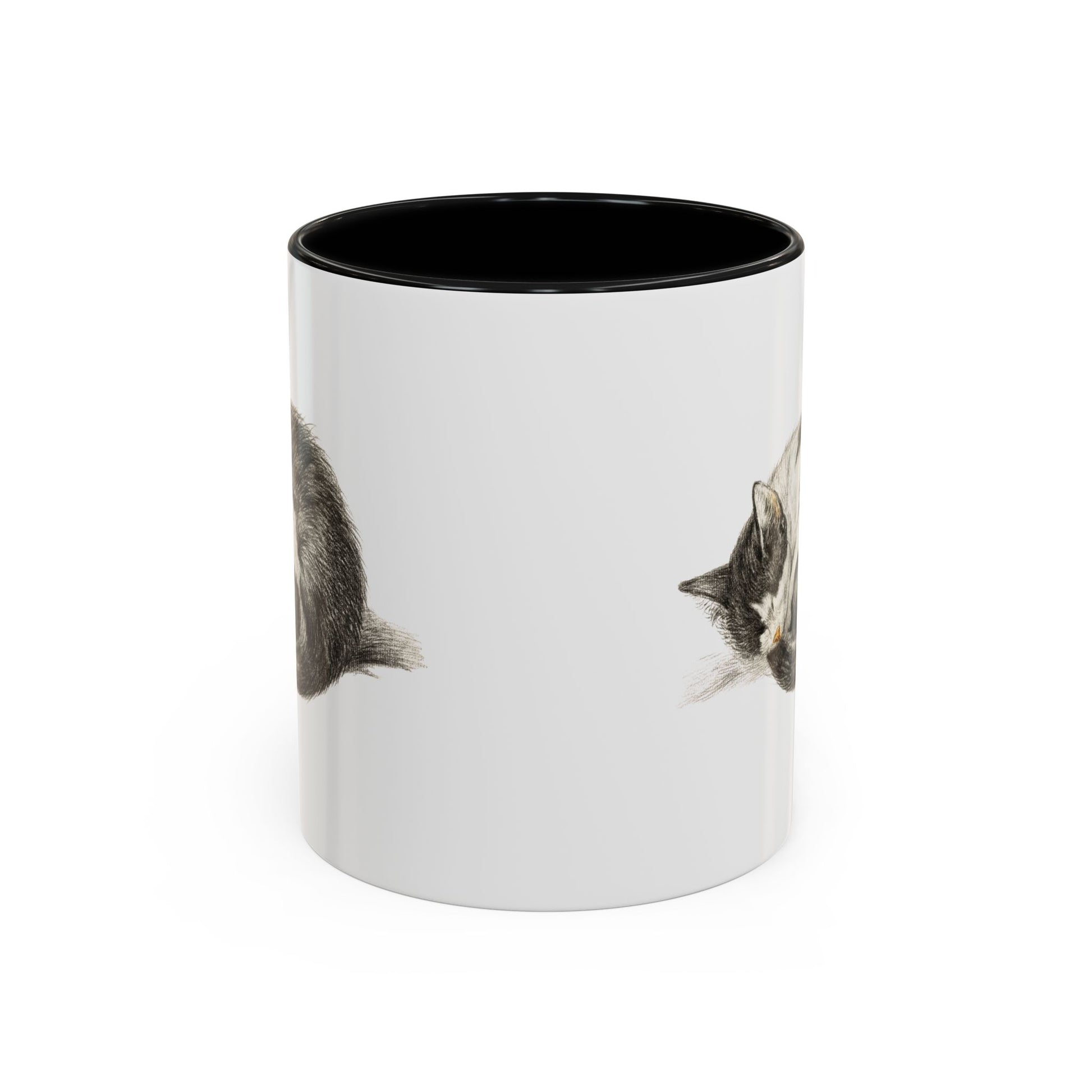 Furball Accent Mug - Canvasses